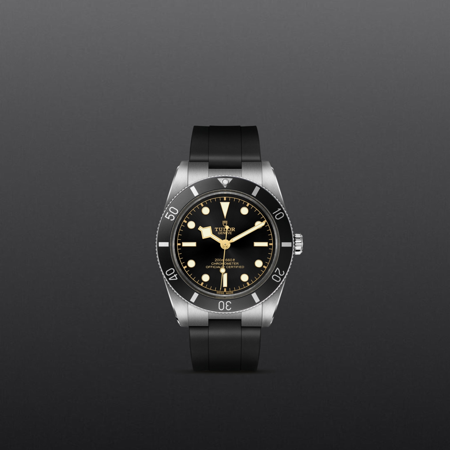 Tudor BLACK BAY 54M79000N-0002 - Verga 1947