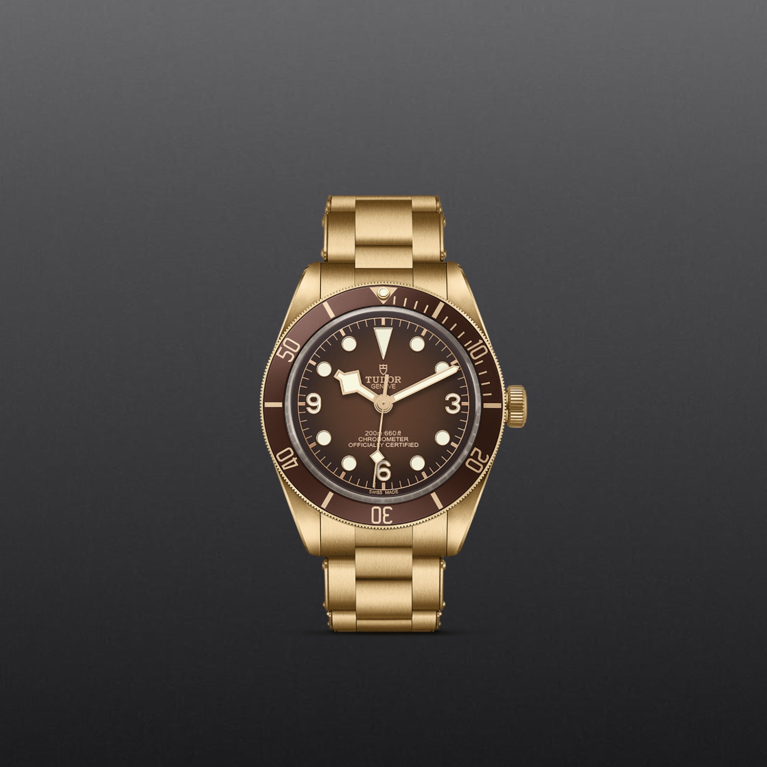Tudor BLACK BAY 58 BRONZEM79012M-0001 - Verga 1947