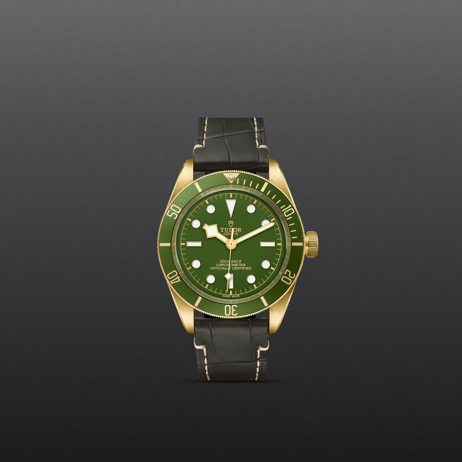 Tudor BLACK BAY 58 18KM79018V-0001 - Verga 1947