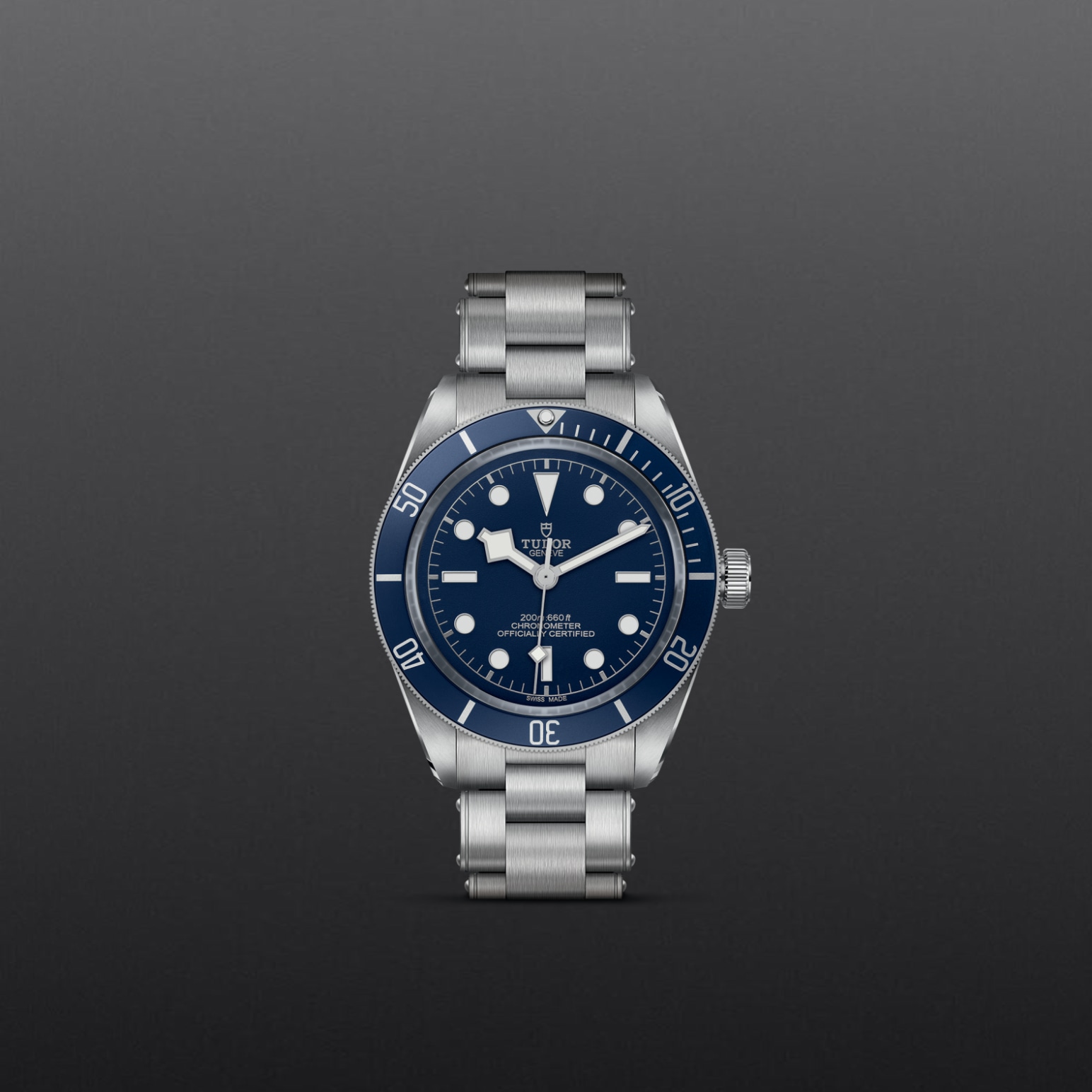 Tudor BLACK BAY 58M79030B-0001 - Verga 1947