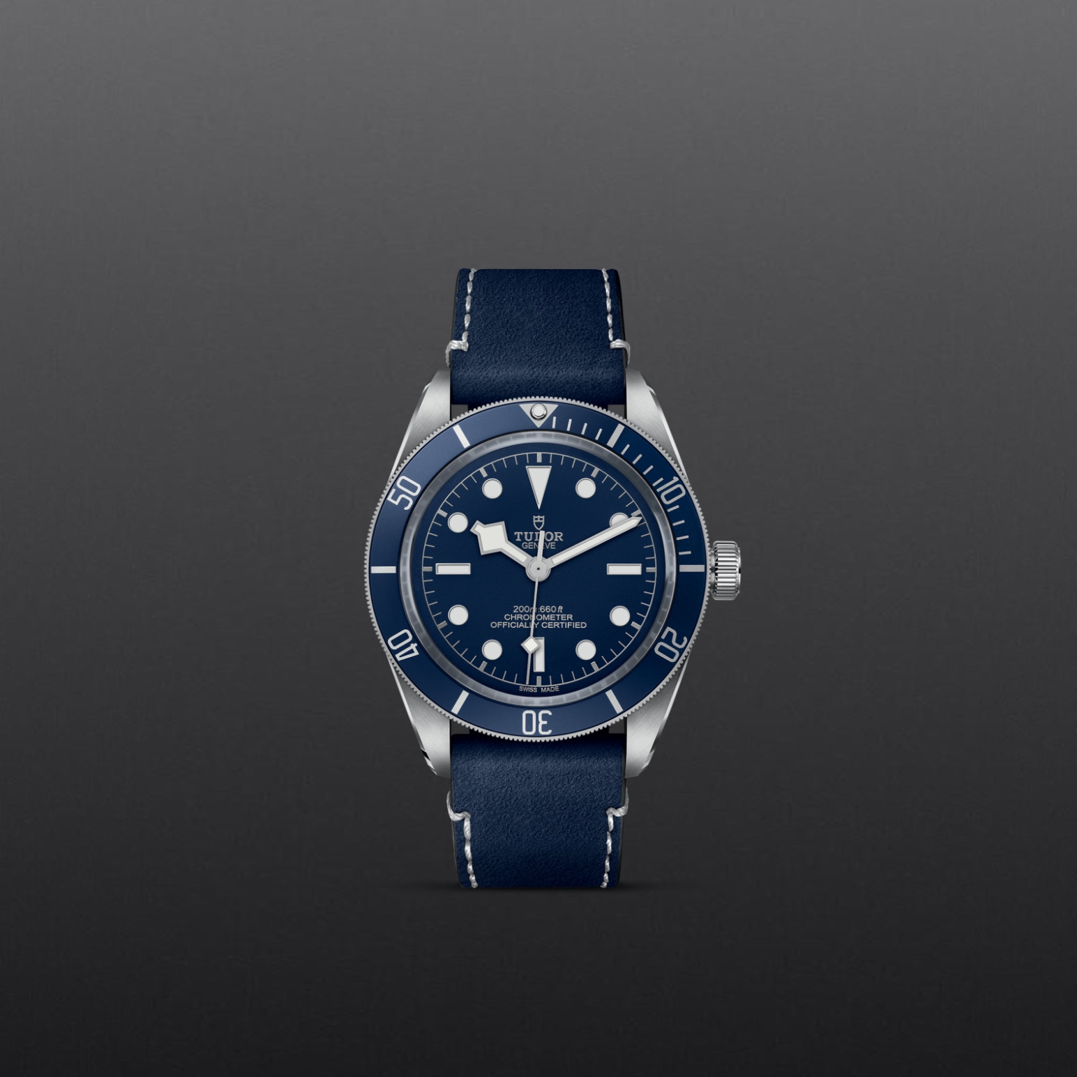 Tudor BLACK BAY 58M79030B-0002 - Verga 1947