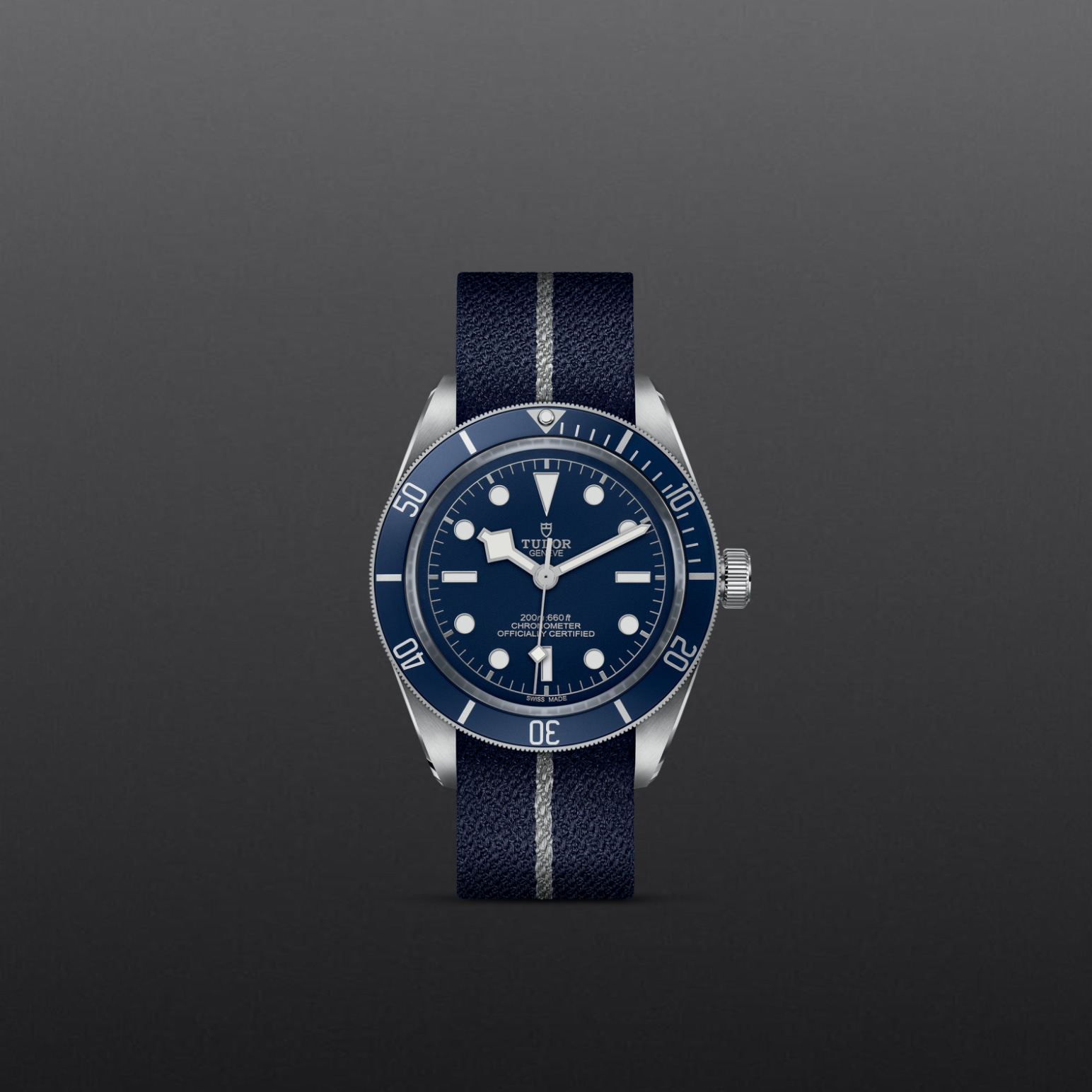 Tudor BLACK BAY 58M79030B-0003 - Verga 1947