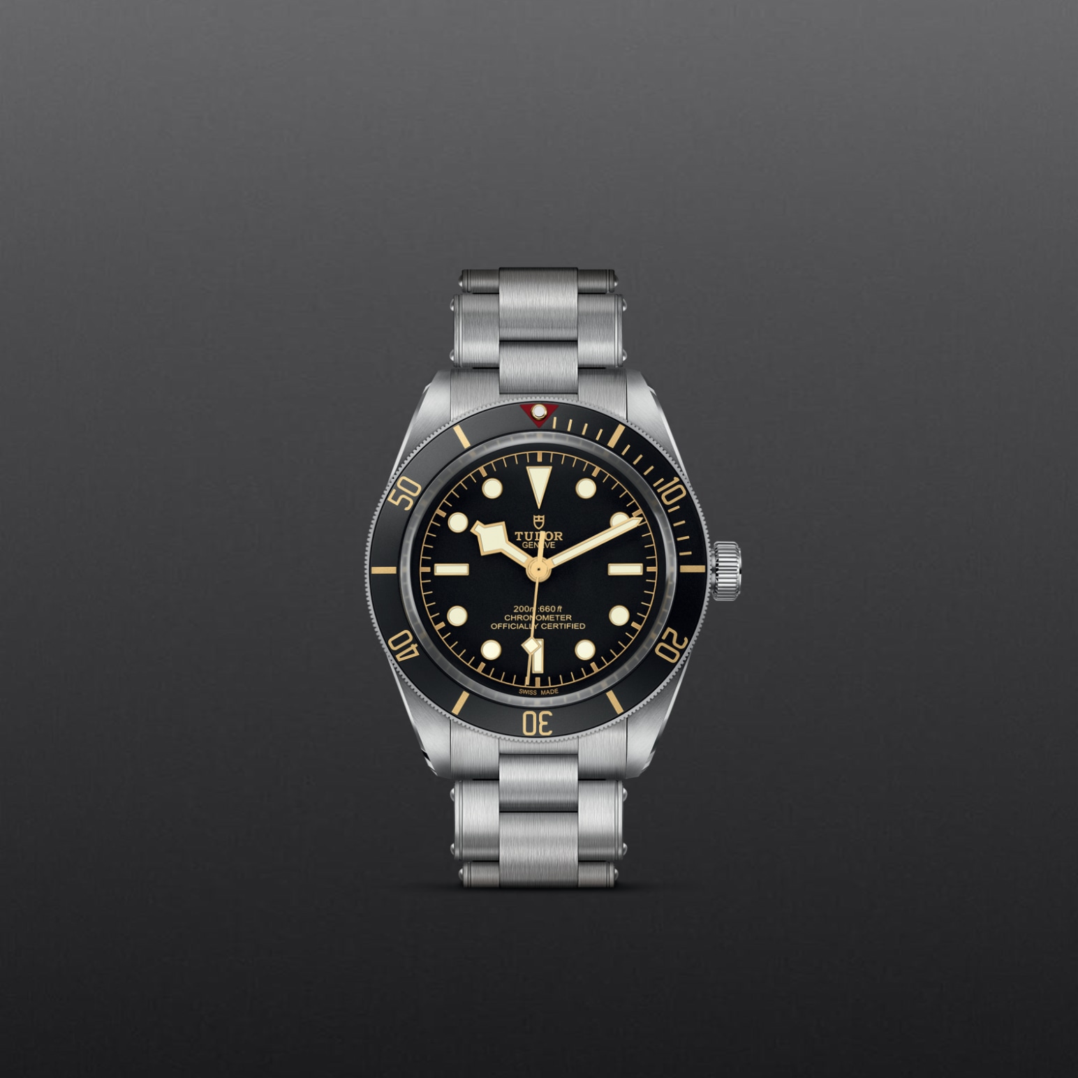 Tudor BLACK BAY 58M79030N-0001 - Verga 1947
