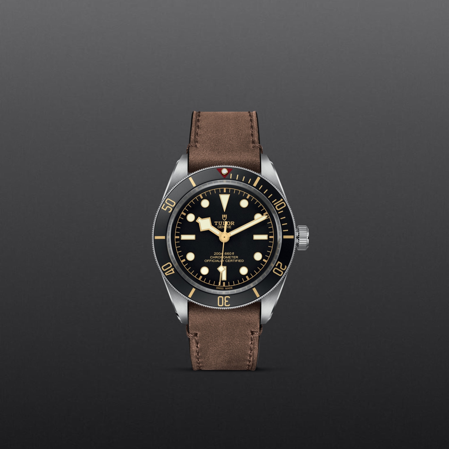 Tudor BLACK BAY 58M79030N-0002 - Verga 1947