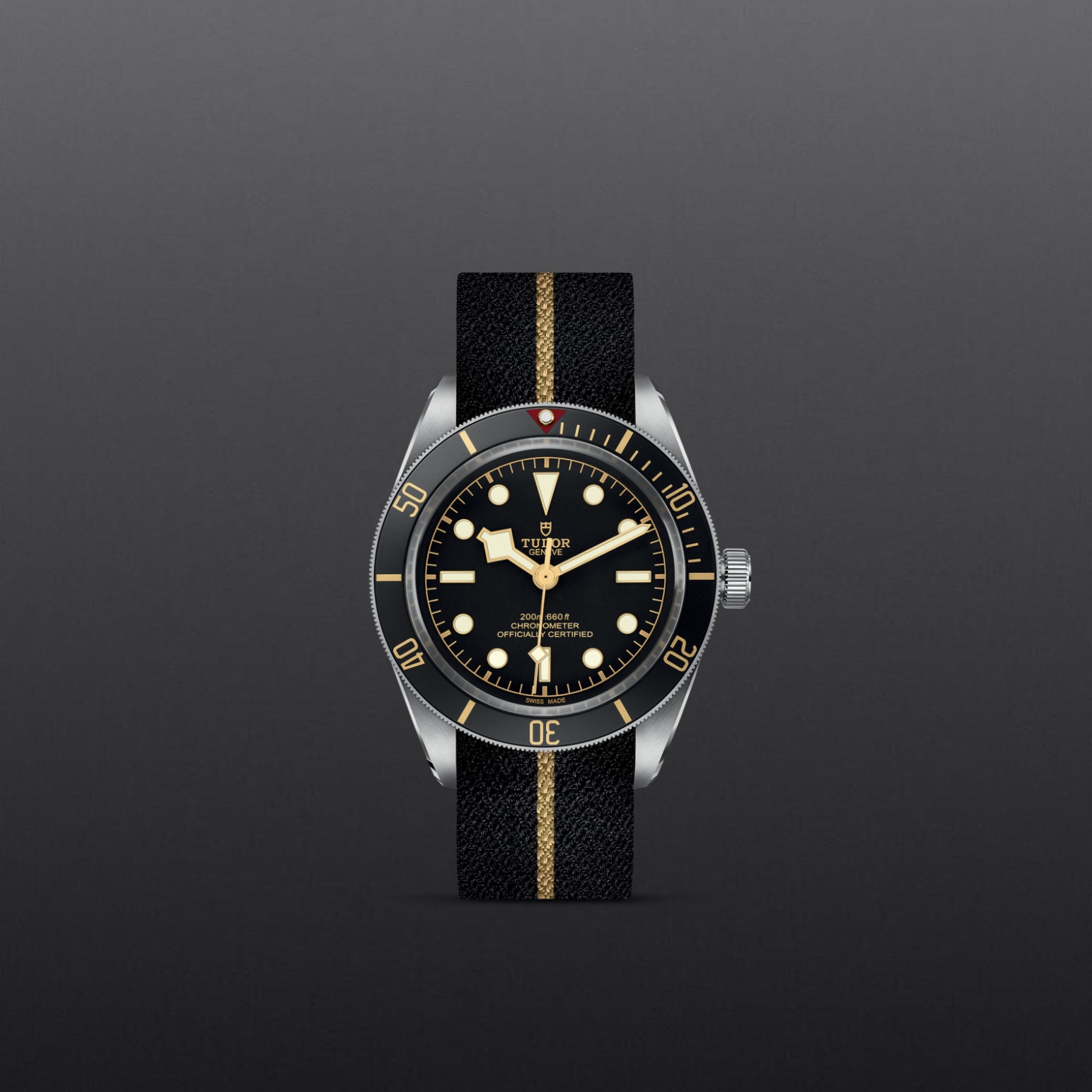 Tudor BLACK BAY 58M79030N-0003 - Verga 1947