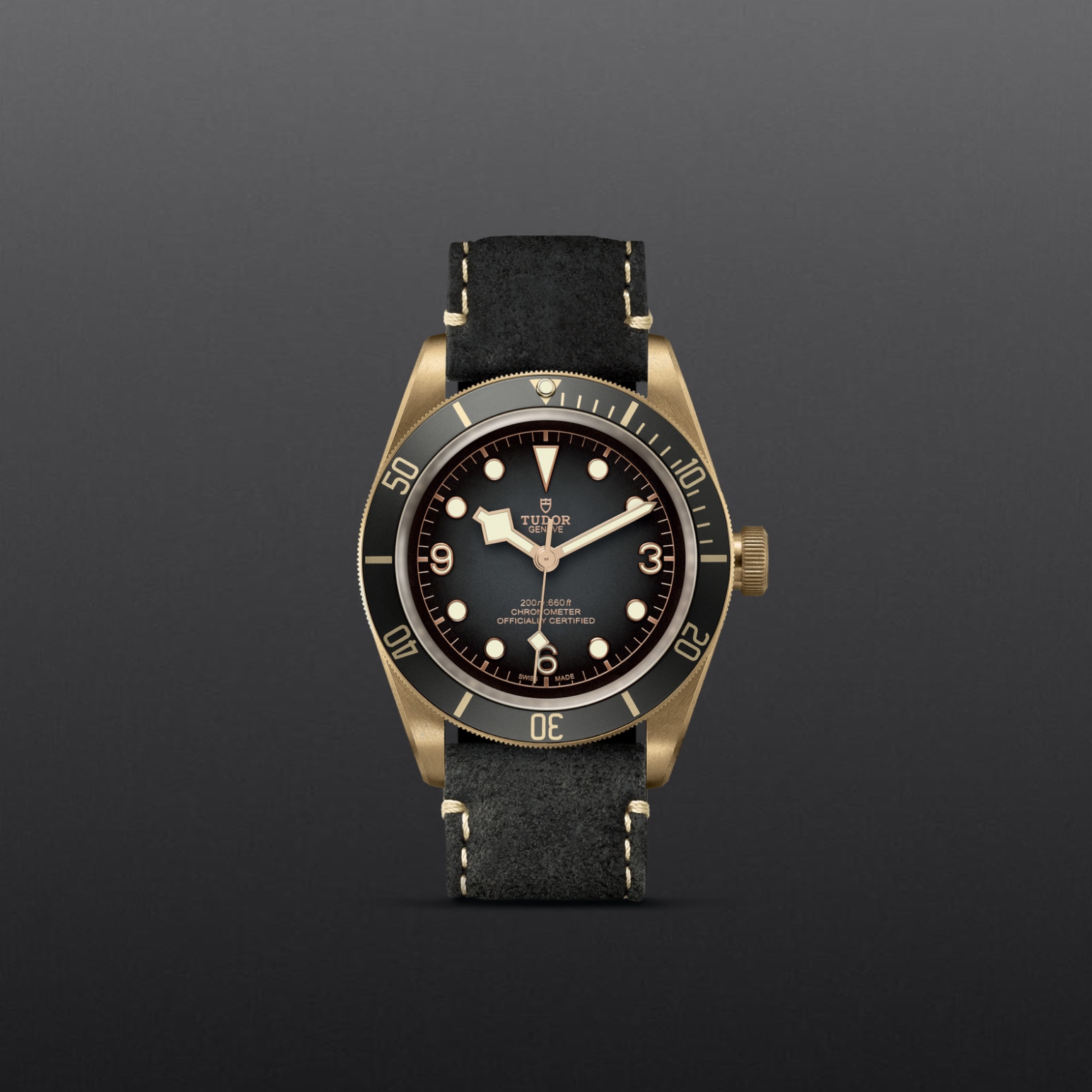 Tudor BLACK BAY BRONZEM79250BA-0001 - Verga 1947
