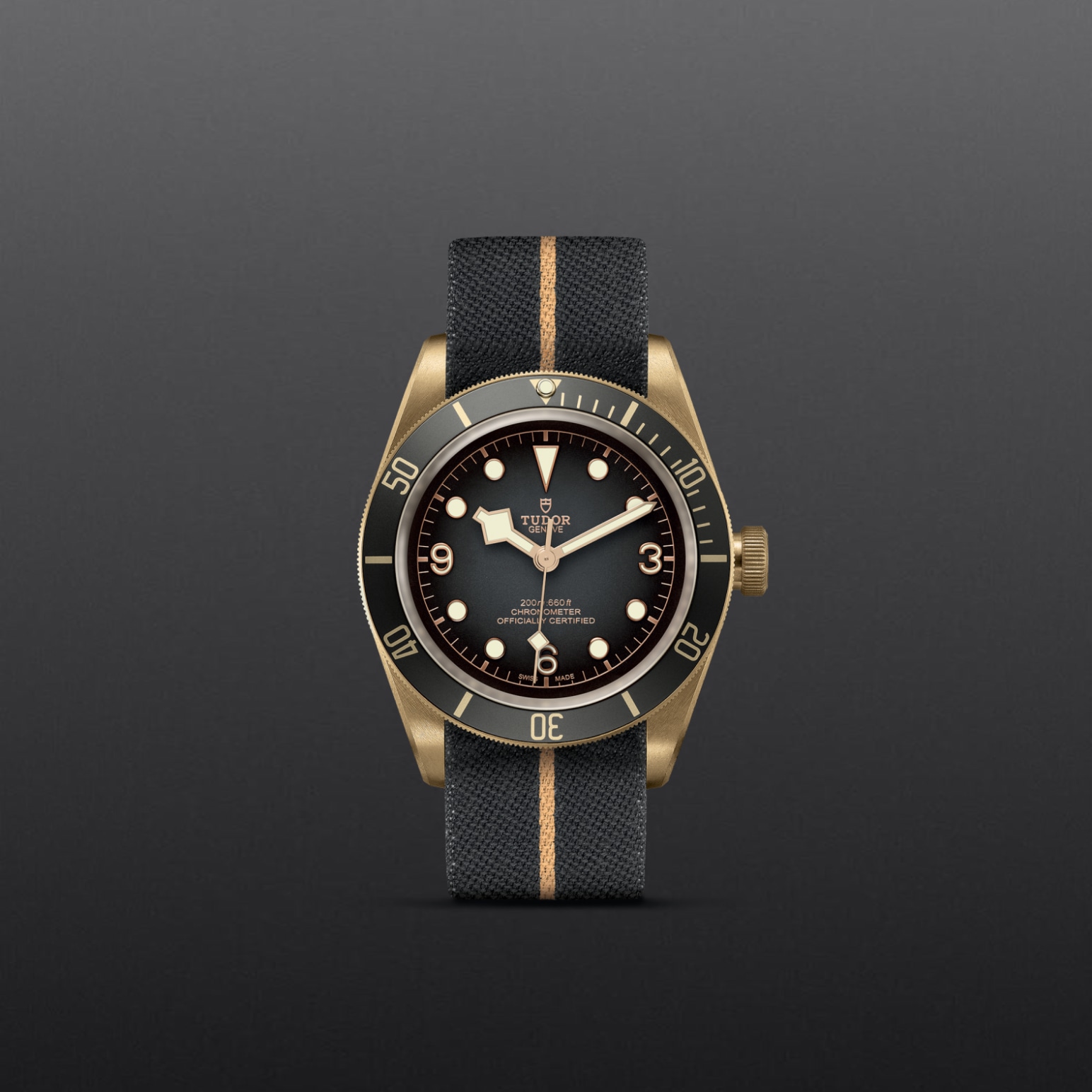 Tudor BLACK BAY BRONZEM79250BA-0002 - Verga 1947