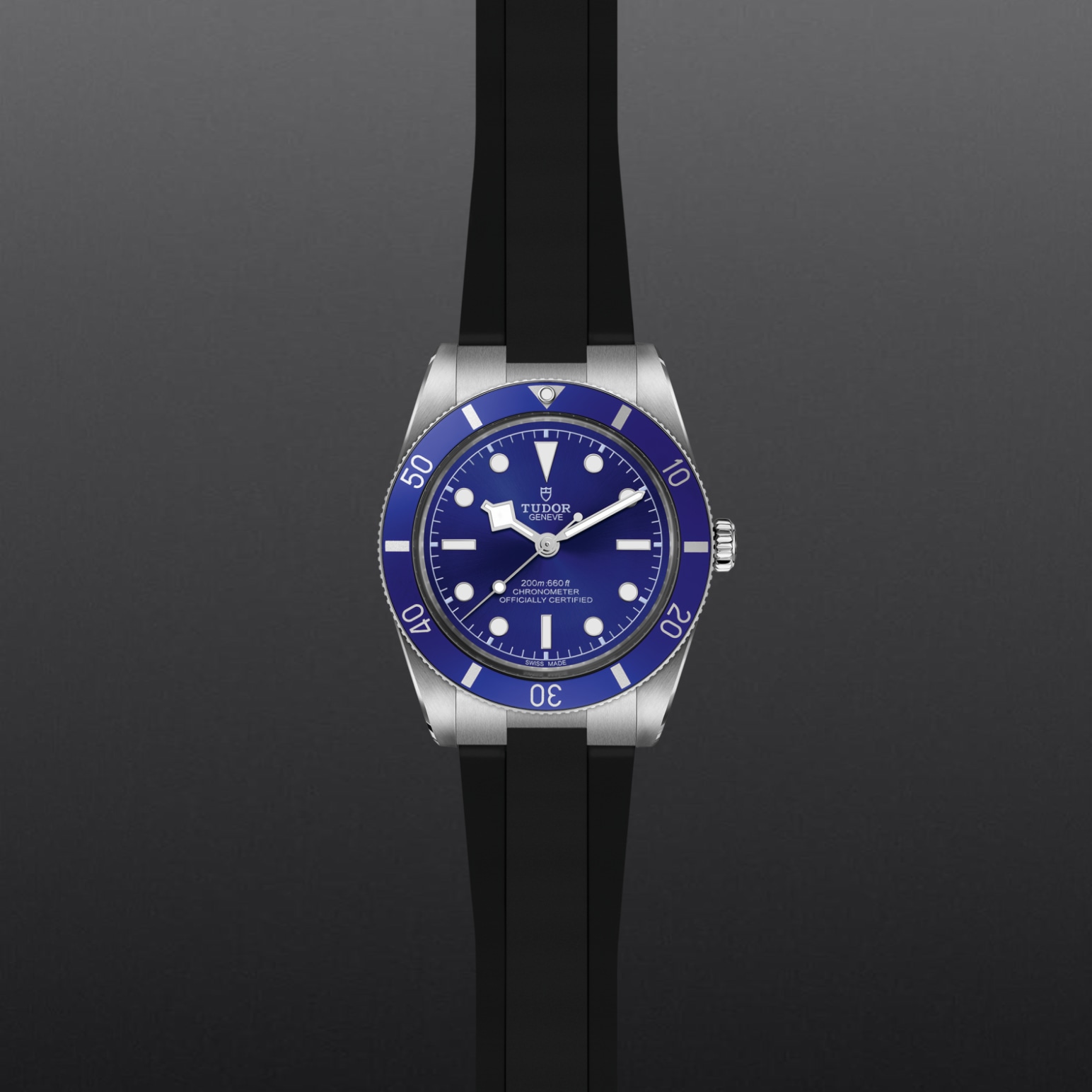 Tudor BLACK BAY 54M79000B-0002 - Verga 1947