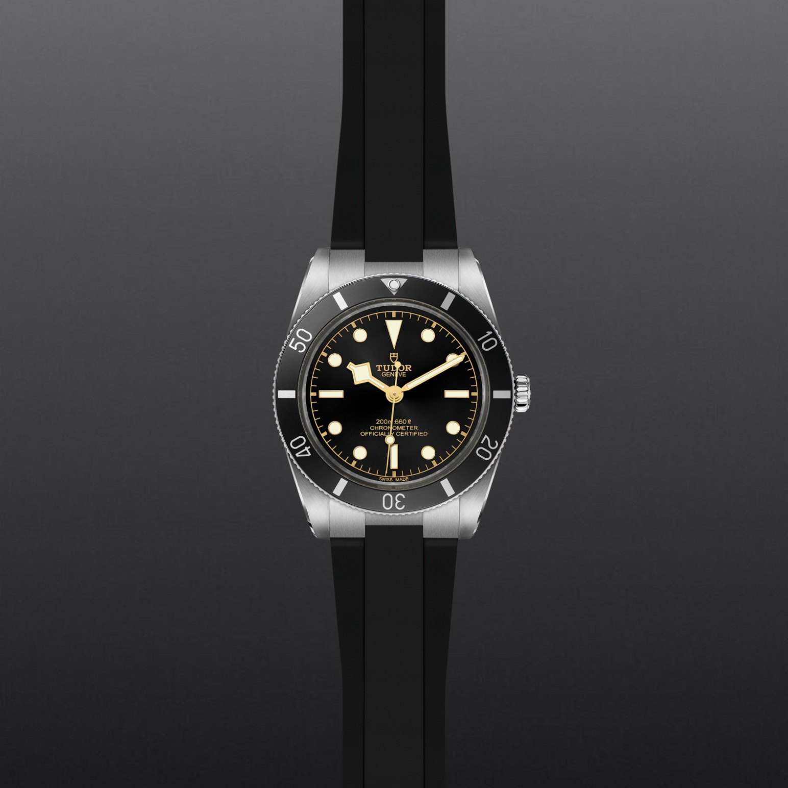 Tudor BLACK BAY 54M79000N-0002 - Verga 1947