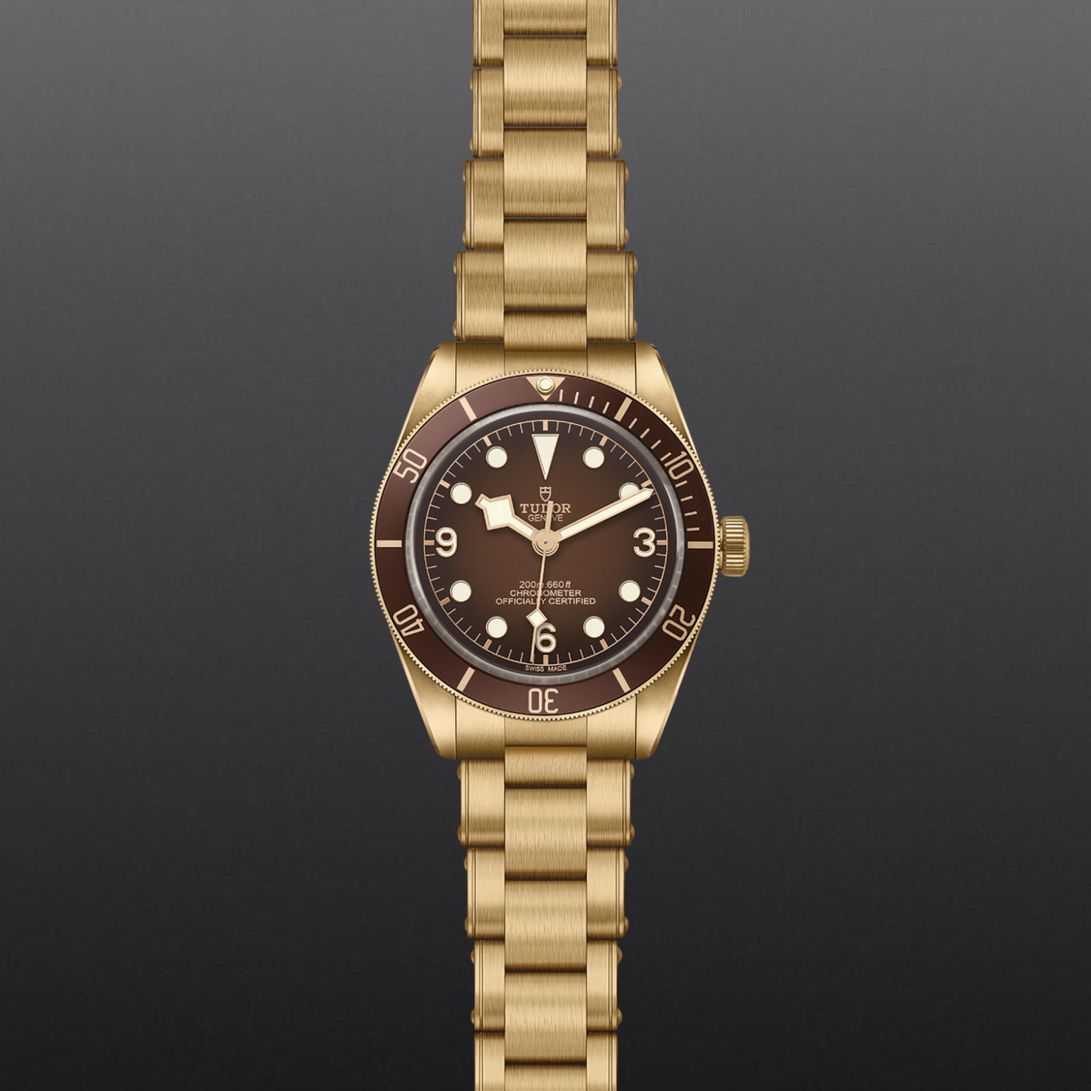 Tudor BLACK BAY 58 BRONZEM79012M-0001 - Verga 1947