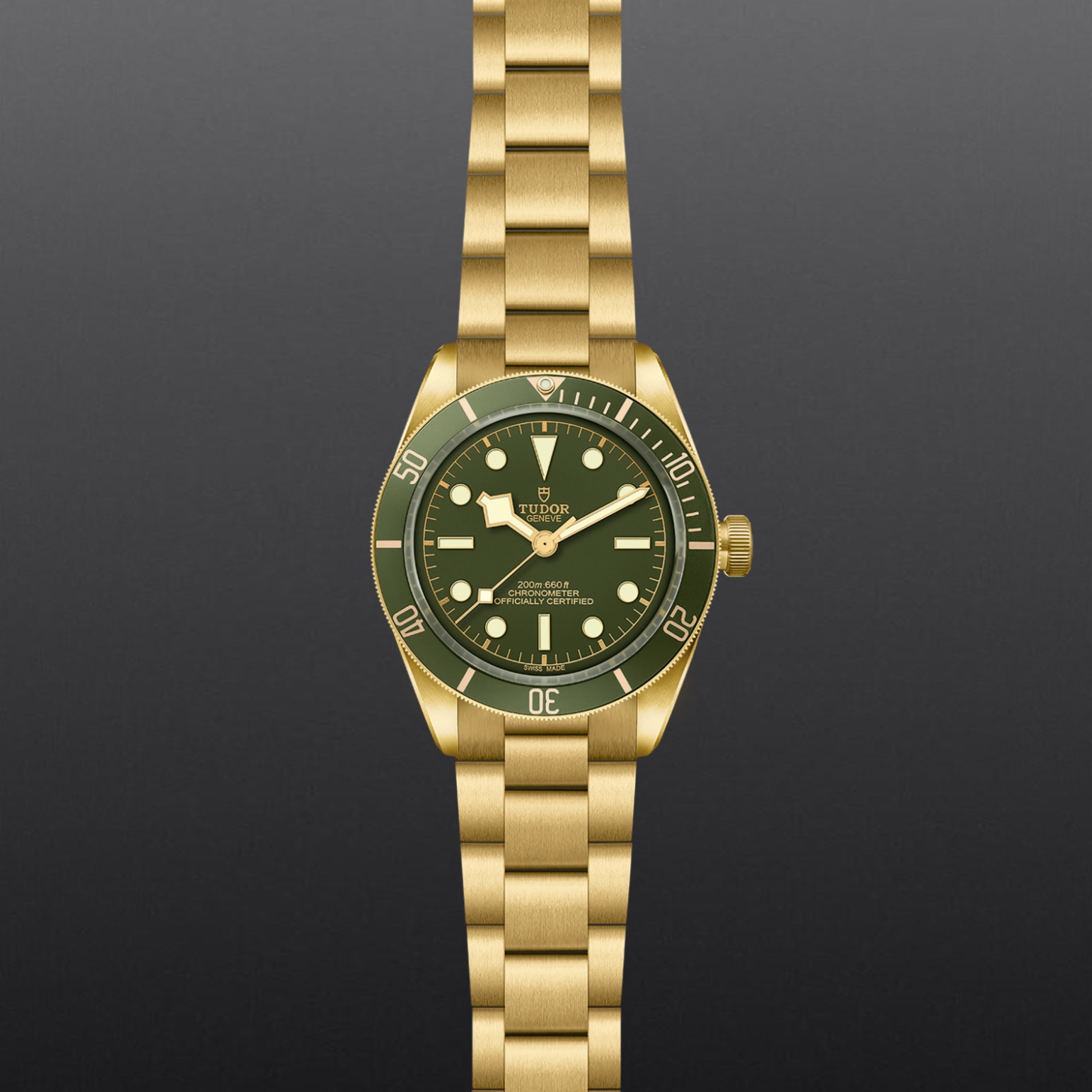 Tudor BLACK BAY 58 18KM79018V-0006 - Verga 1947