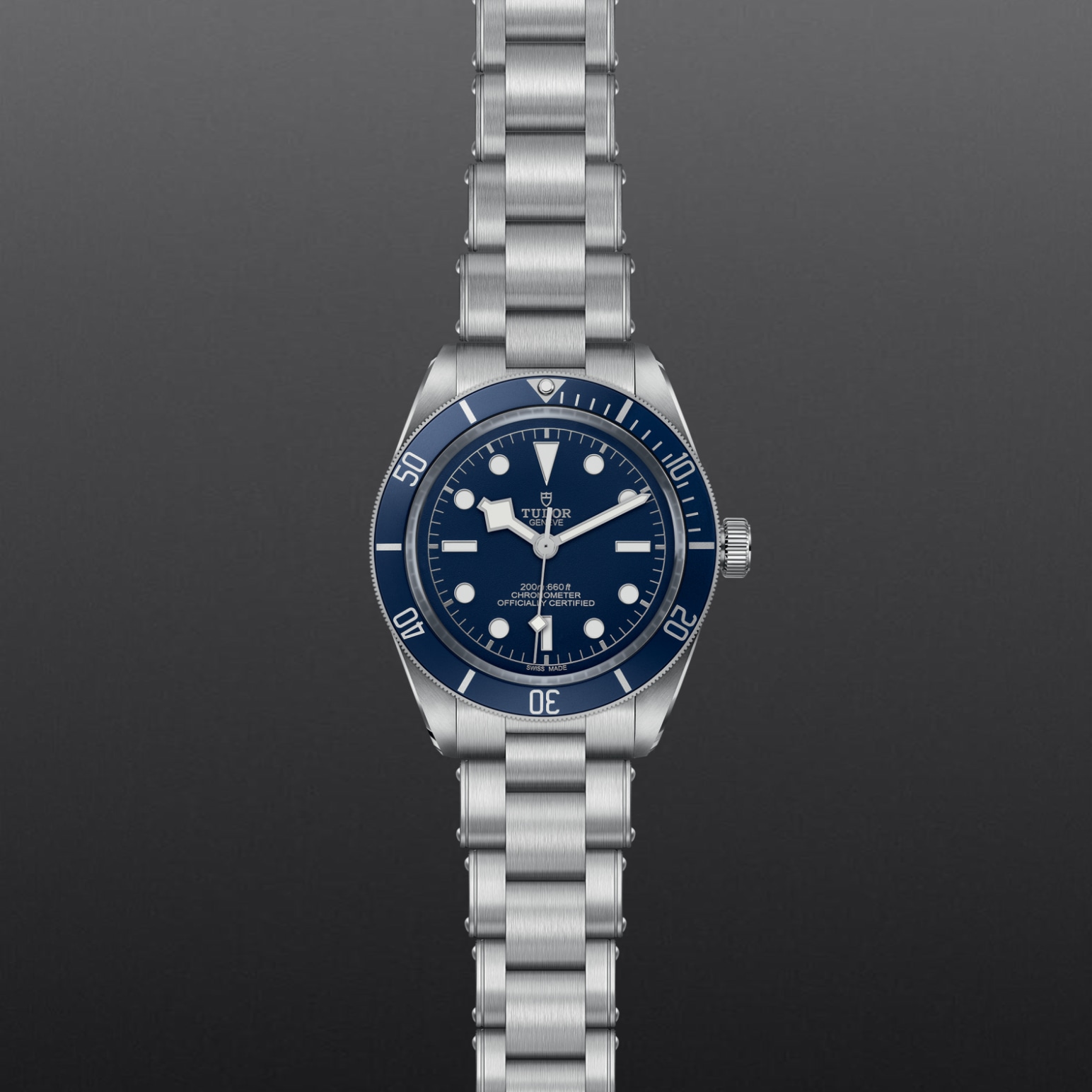 Tudor BLACK BAY 58M79030B-0001 - Verga 1947