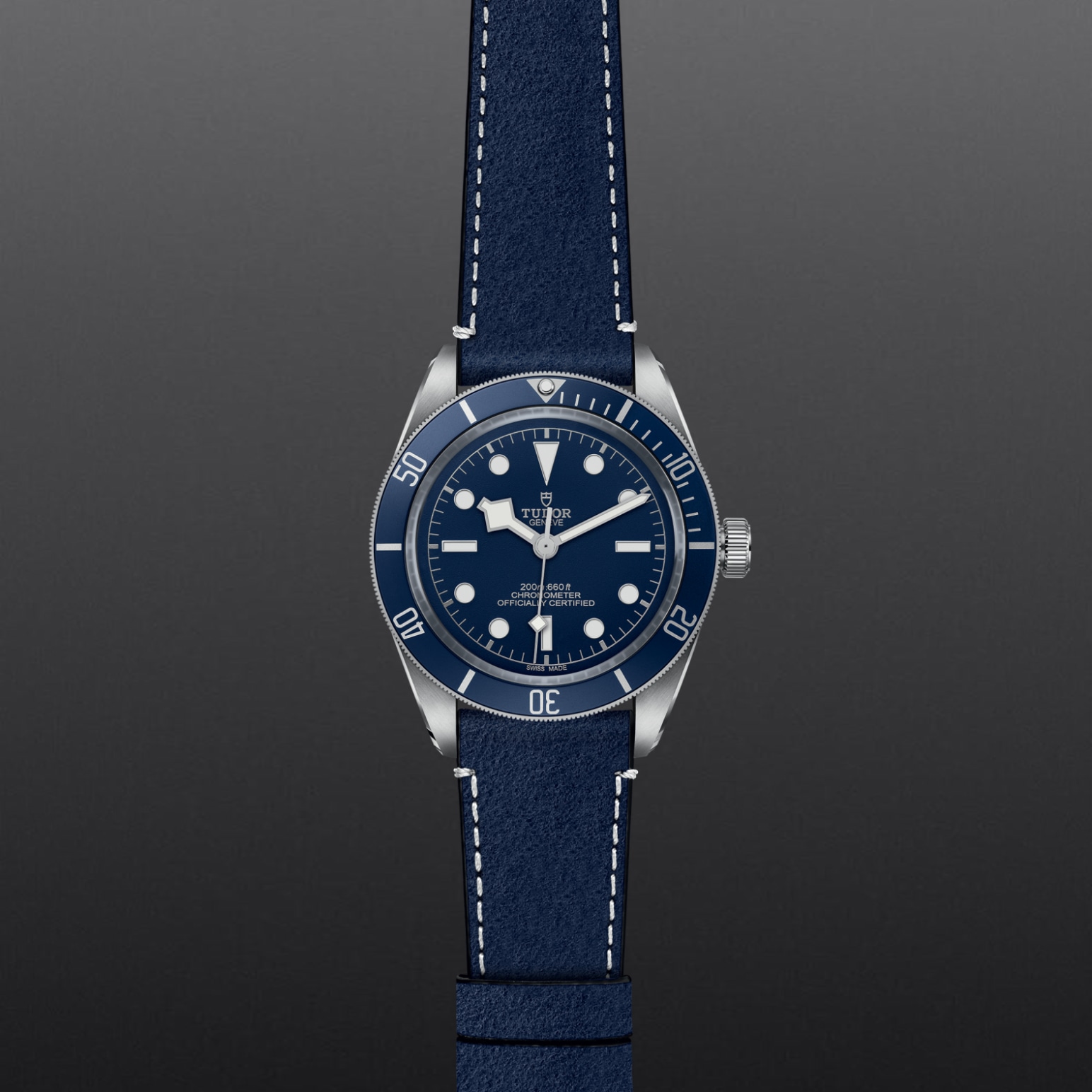 Tudor BLACK BAY 58M79030B-0002 - Verga 1947