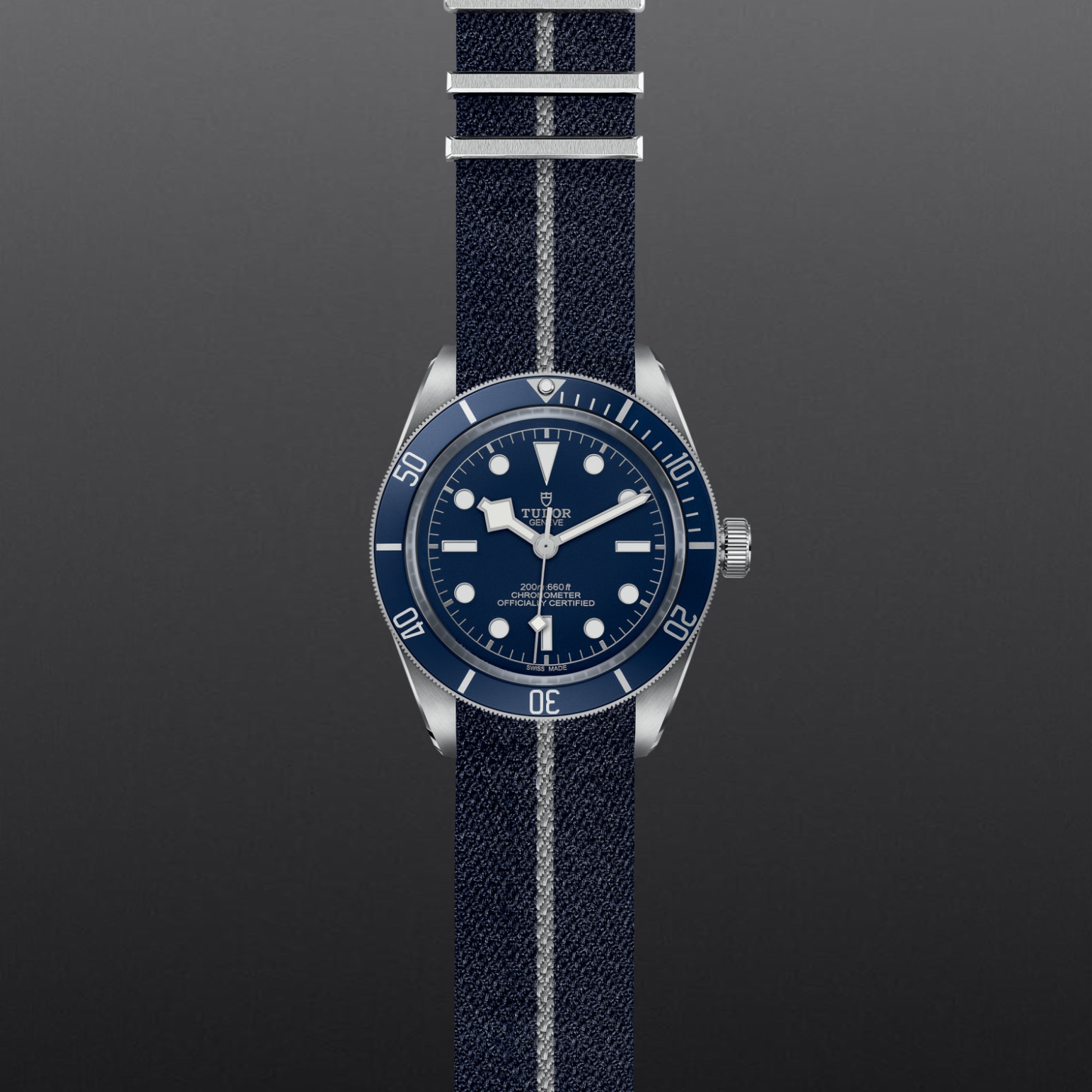 Tudor BLACK BAY 58M79030B-0003 - Verga 1947