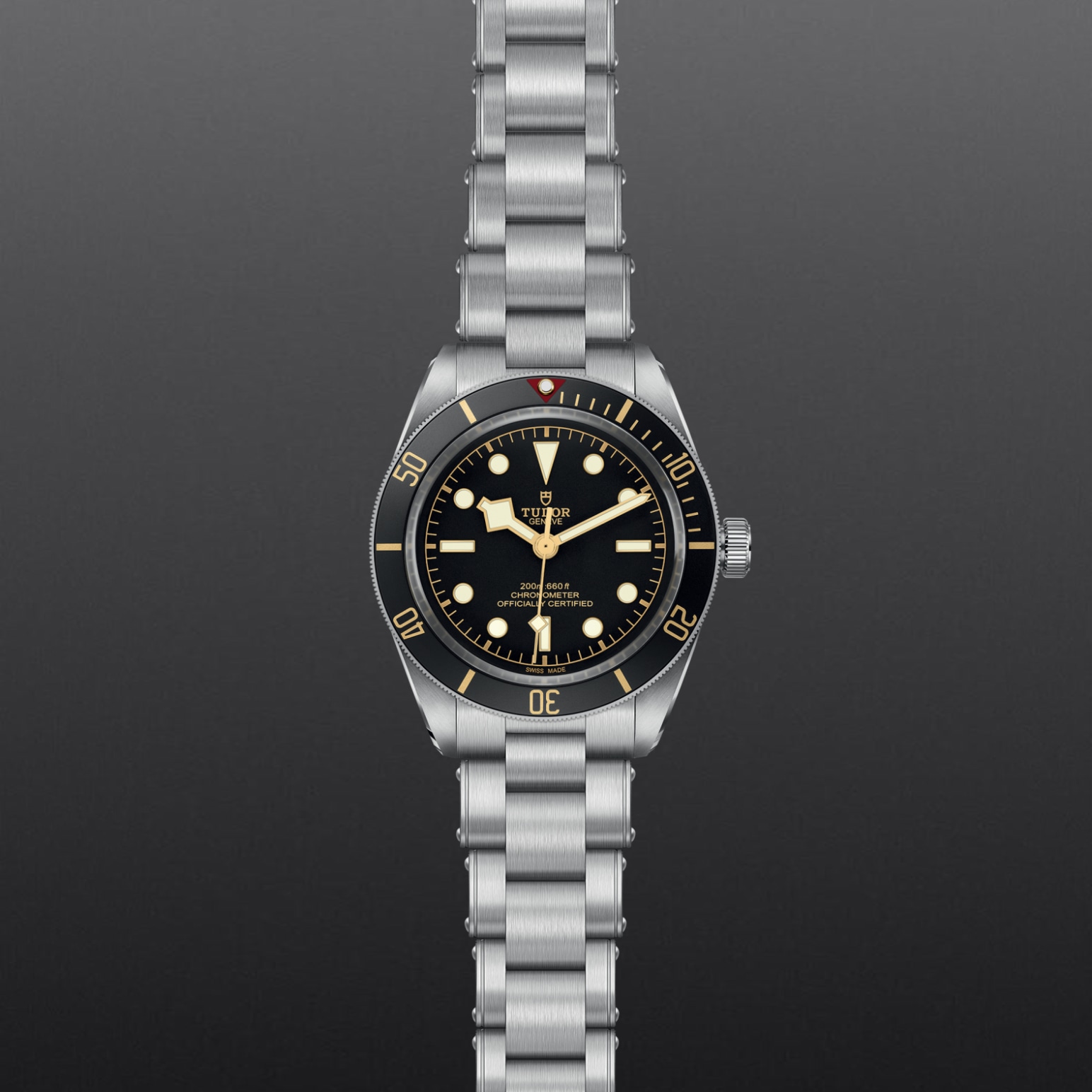 Tudor BLACK BAY 58M79030N-0001 - Verga 1947