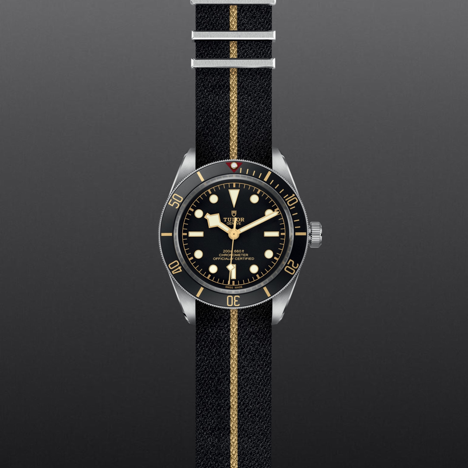Tudor BLACK BAY 58M79030N-0003 - Verga 1947