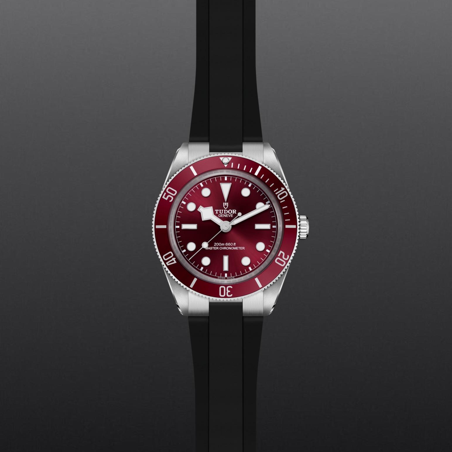 Tudor BLACK BAY 58M7939A1A0RU-0003 - Verga 1947