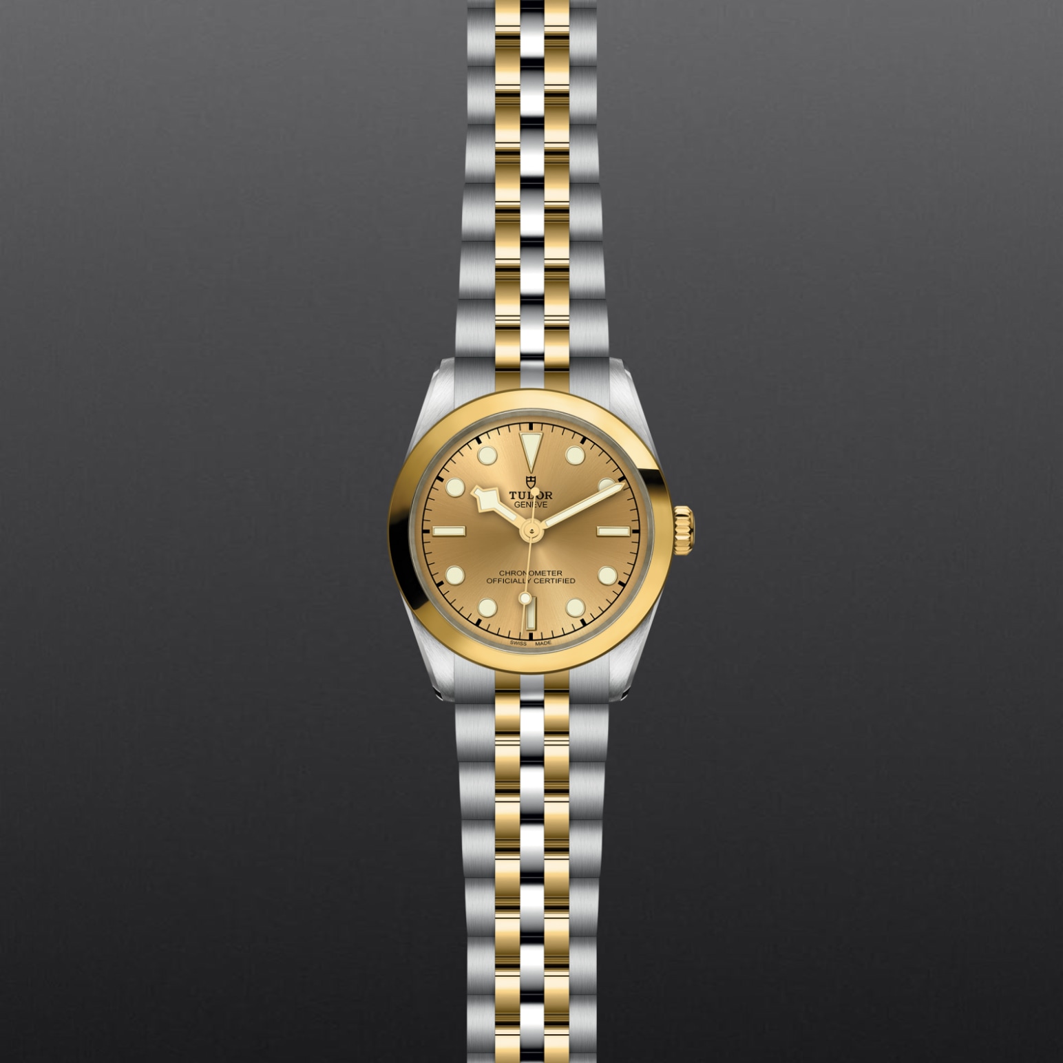 Tudor BLACK BAY ONE 31 S&GM79603-0005 - Verga 1947