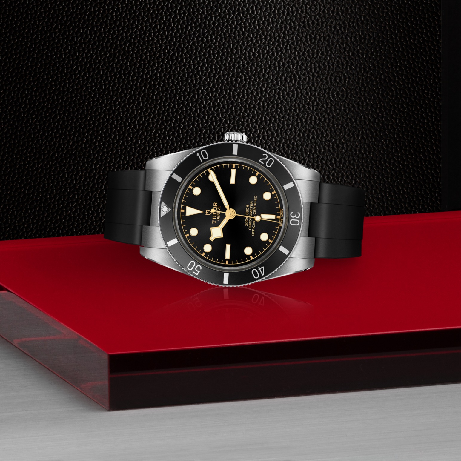 Tudor BLACK BAY 54M79000N-0002 - Verga 1947