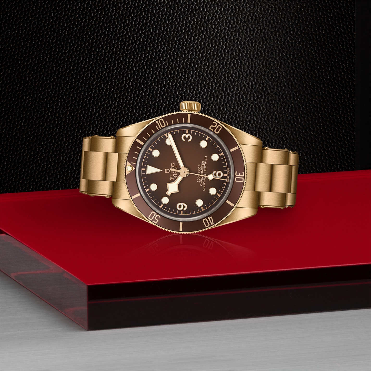 Tudor BLACK BAY 58 BRONZEM79012M-0001 - Verga 1947
