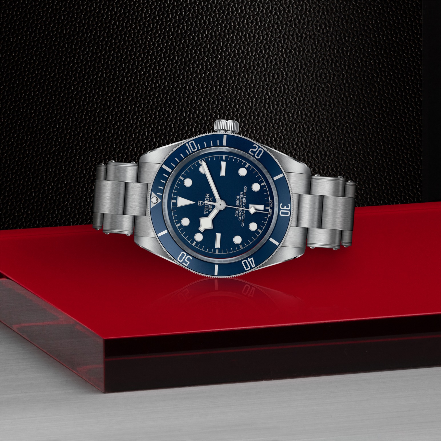 Tudor BLACK BAY 58M79030B-0001 - Verga 1947