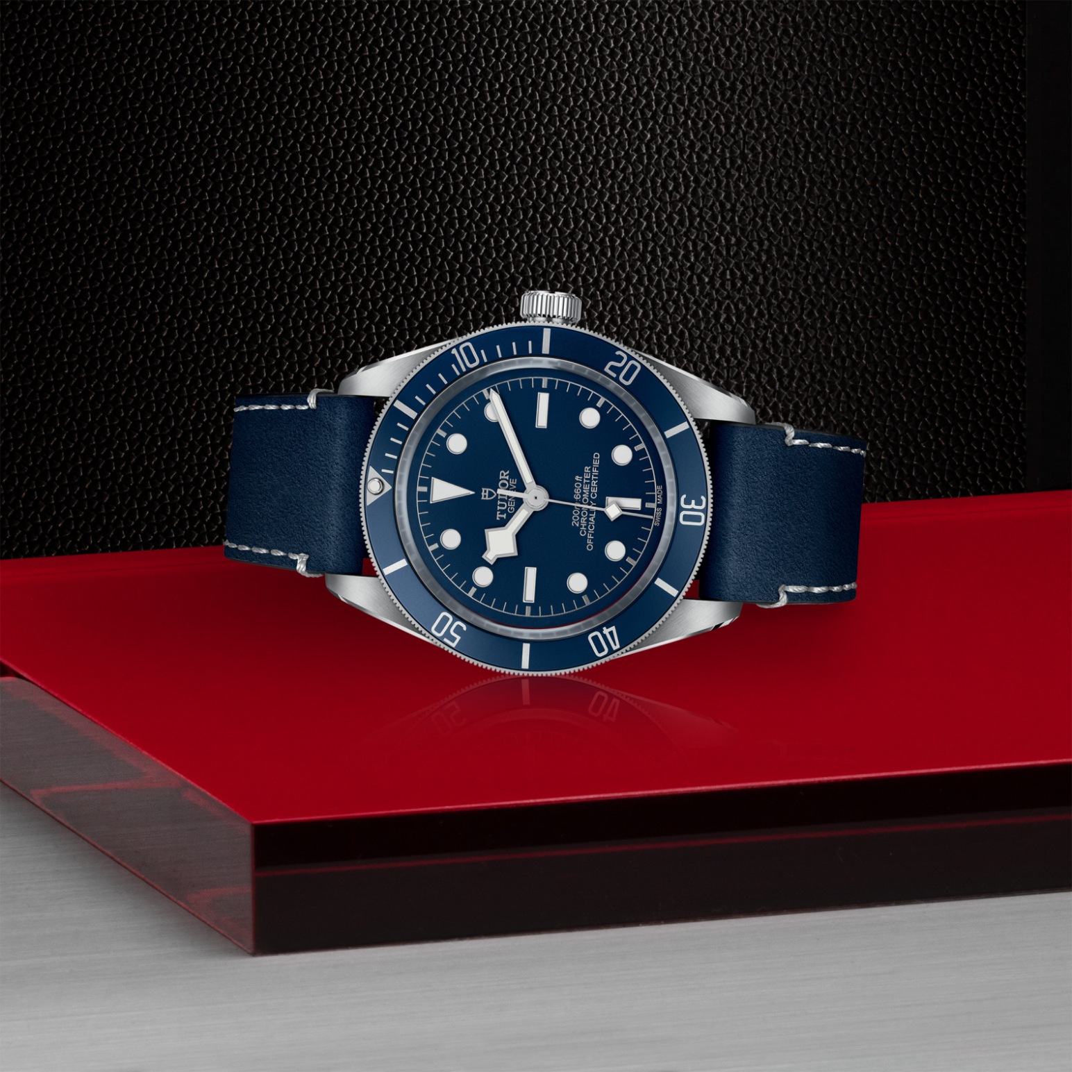 Tudor BLACK BAY 58M79030B-0002 - Verga 1947