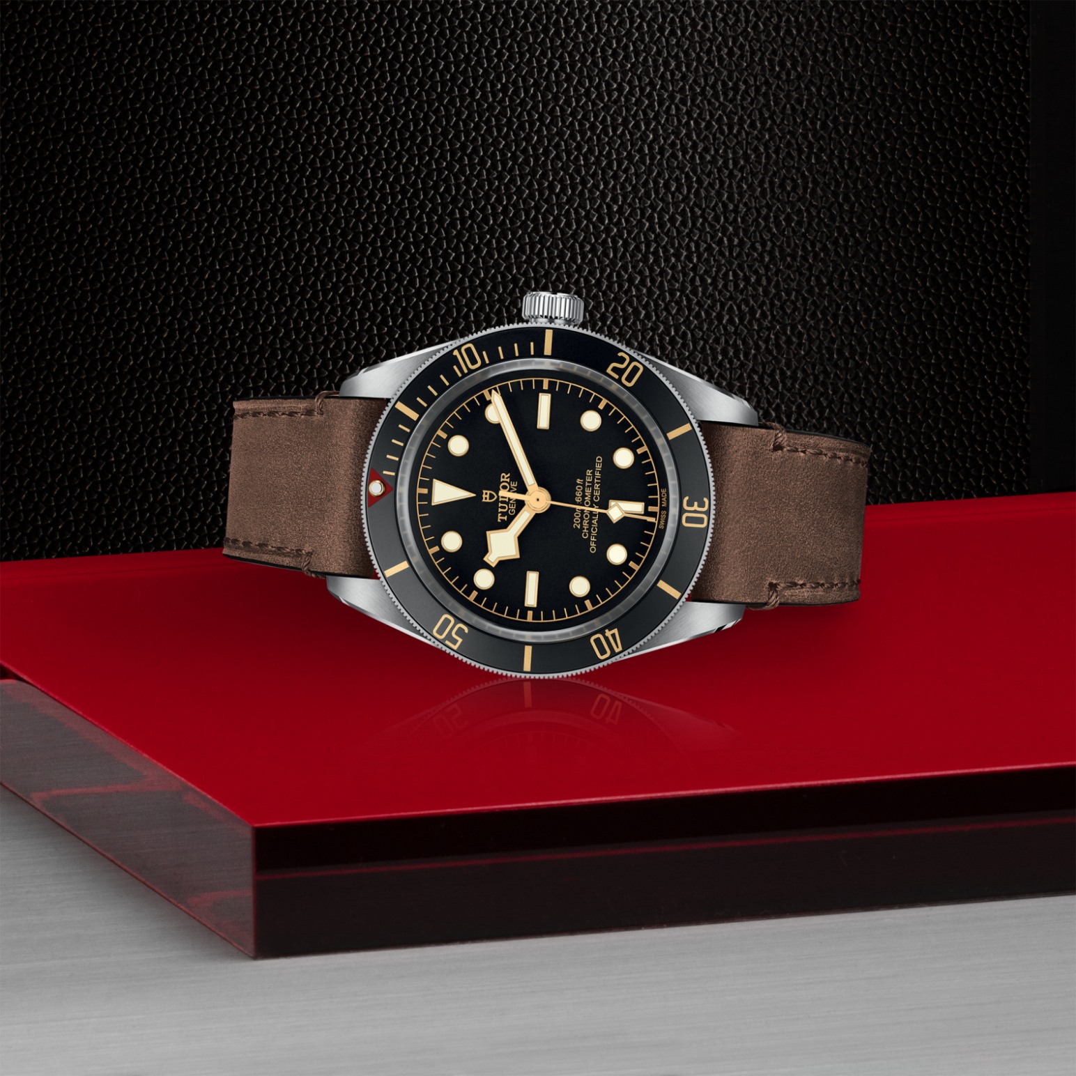 Tudor BLACK BAY 58M79030N-0002 - Verga 1947