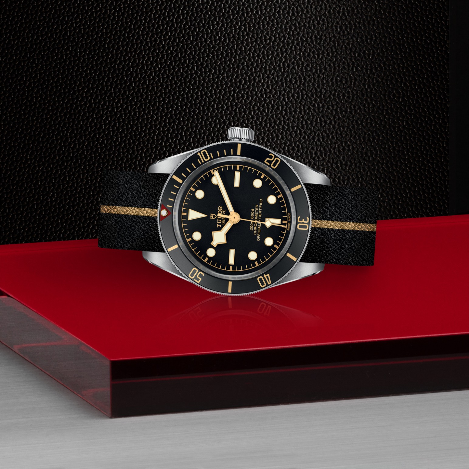 Tudor BLACK BAY 58M79030N-0003 - Verga 1947