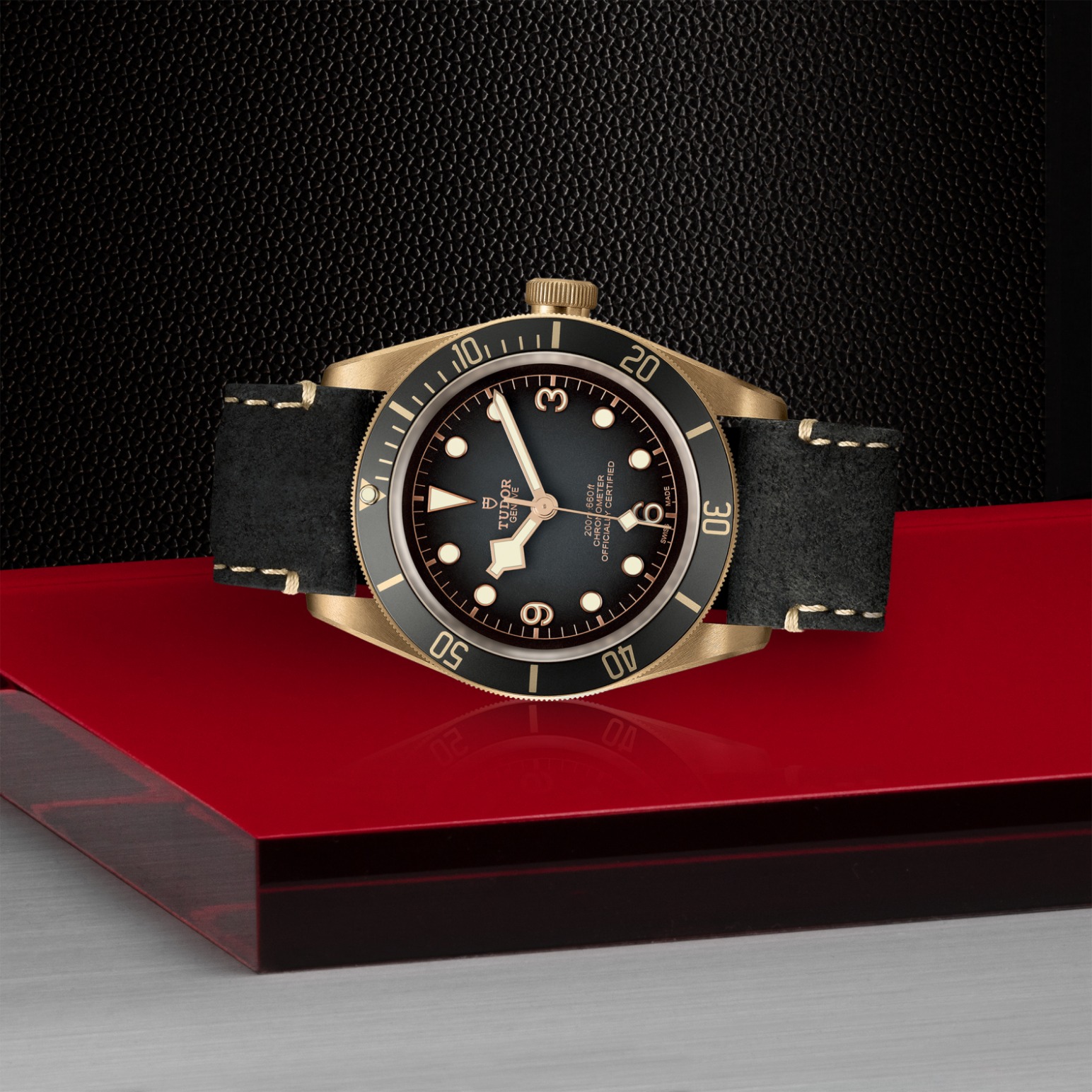 Tudor BLACK BAY BRONZEM79250BA-0001 - Verga 1947