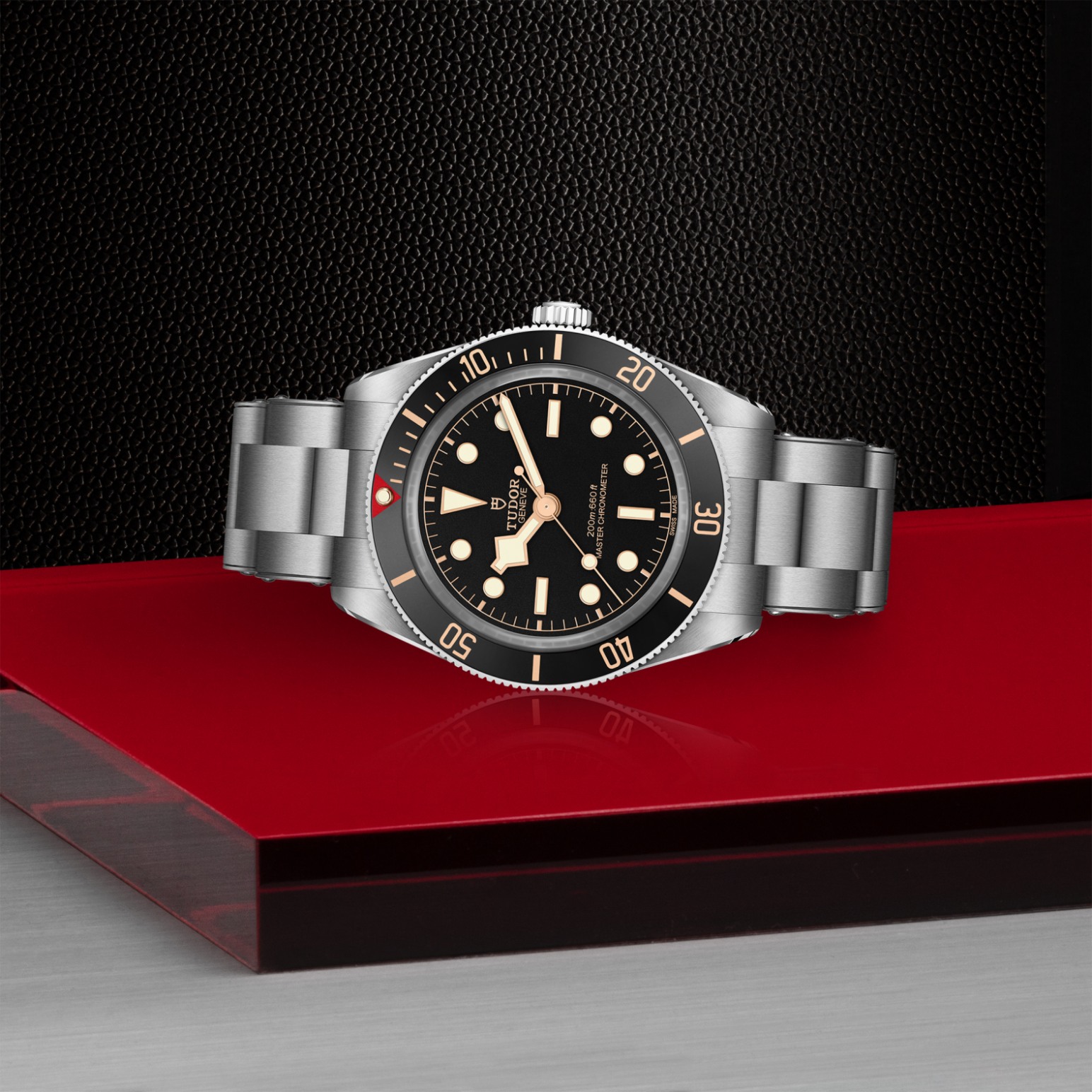 Tudor BLACK BAY 58M7939A1A0NU-0002 - Verga 1947