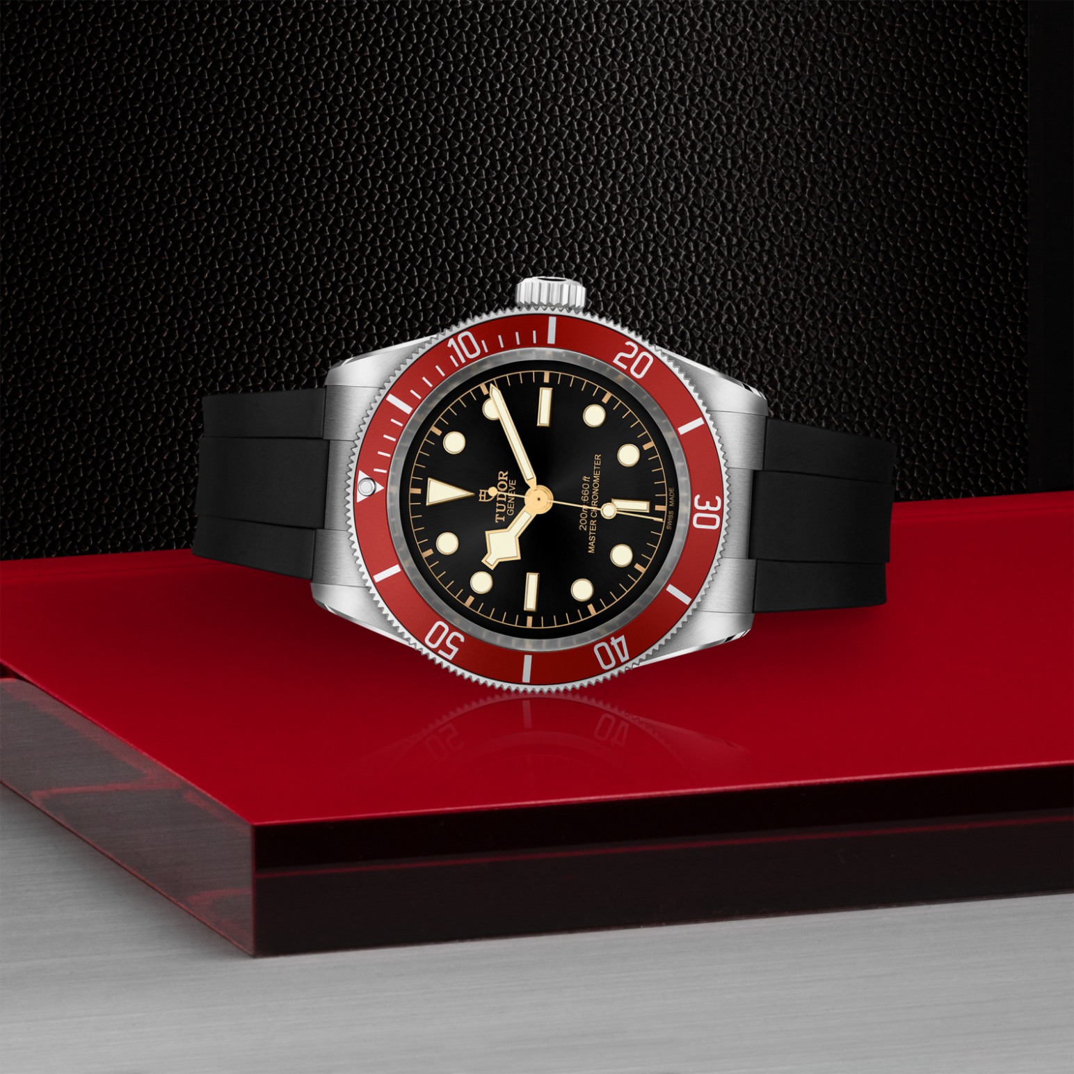 Tudor BLACK BAYM7941A1A0RU-0002 - Verga 1947