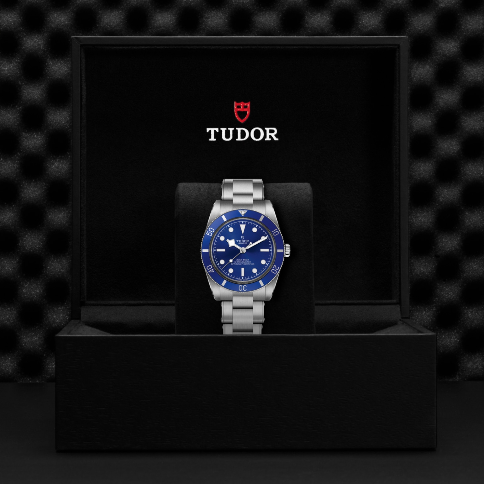 Tudor BLACK BAY 54M79000B-0001 - Verga 1947