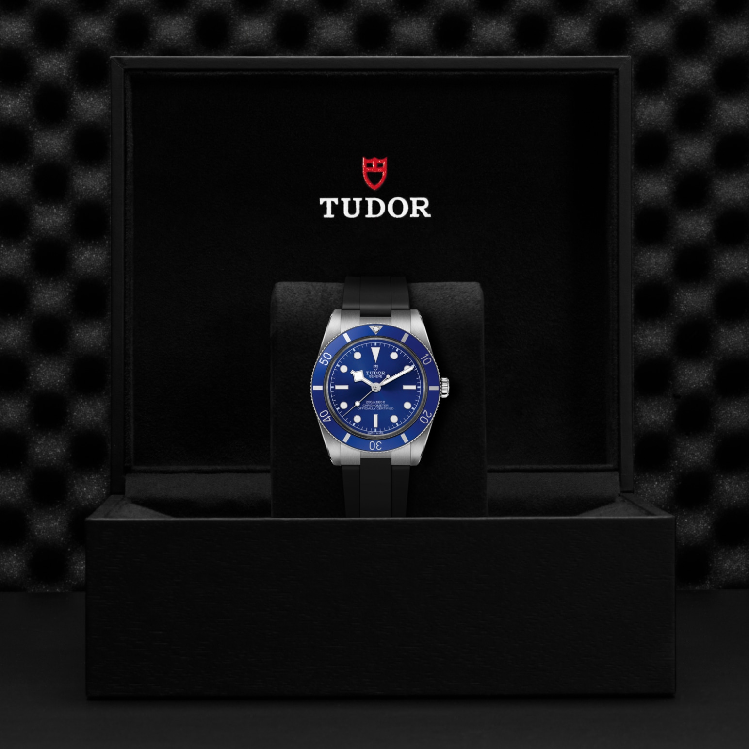 Tudor BLACK BAY 54M79000B-0002 - Verga 1947