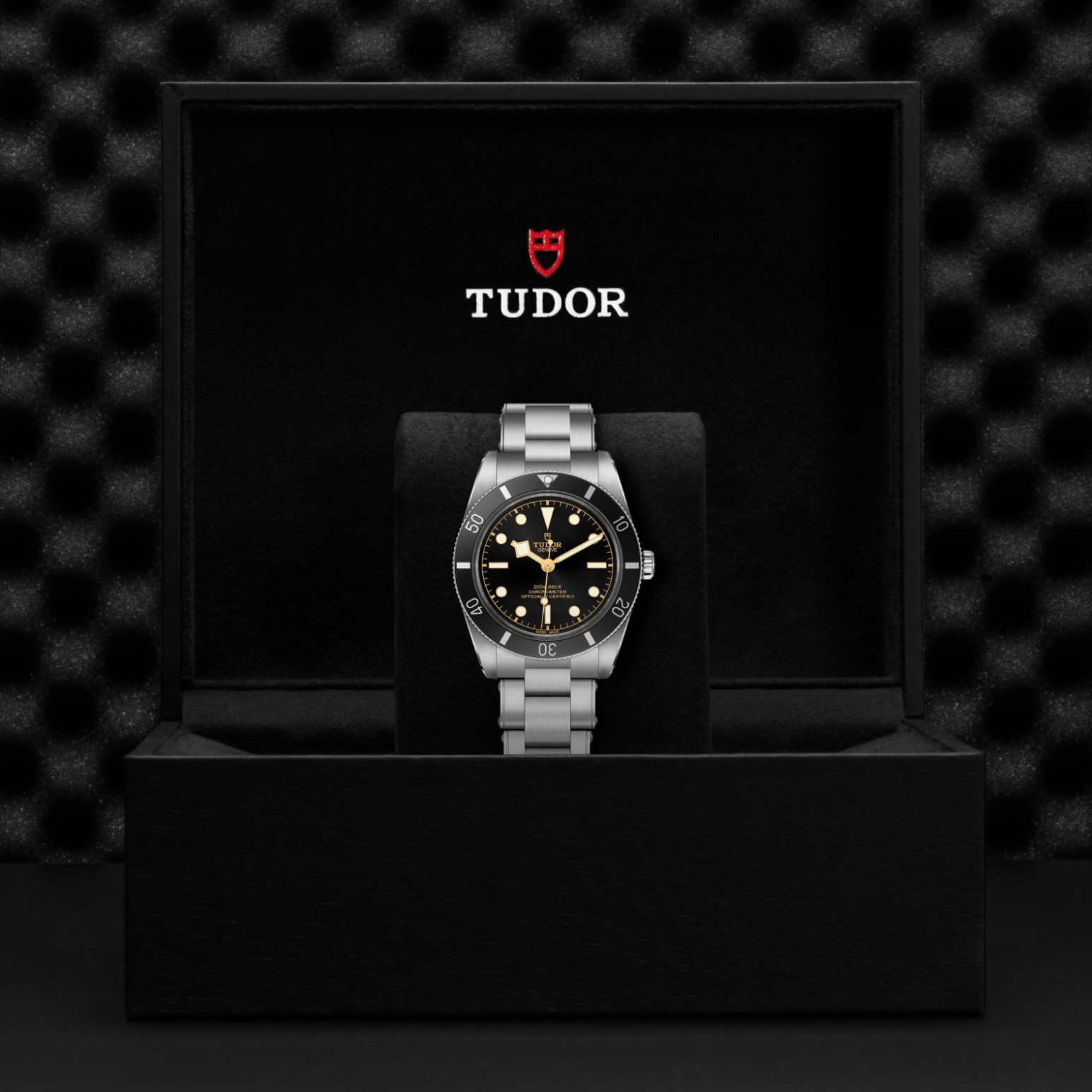 Tudor BLACK BAY 54M79000N-0001 - Verga 1947