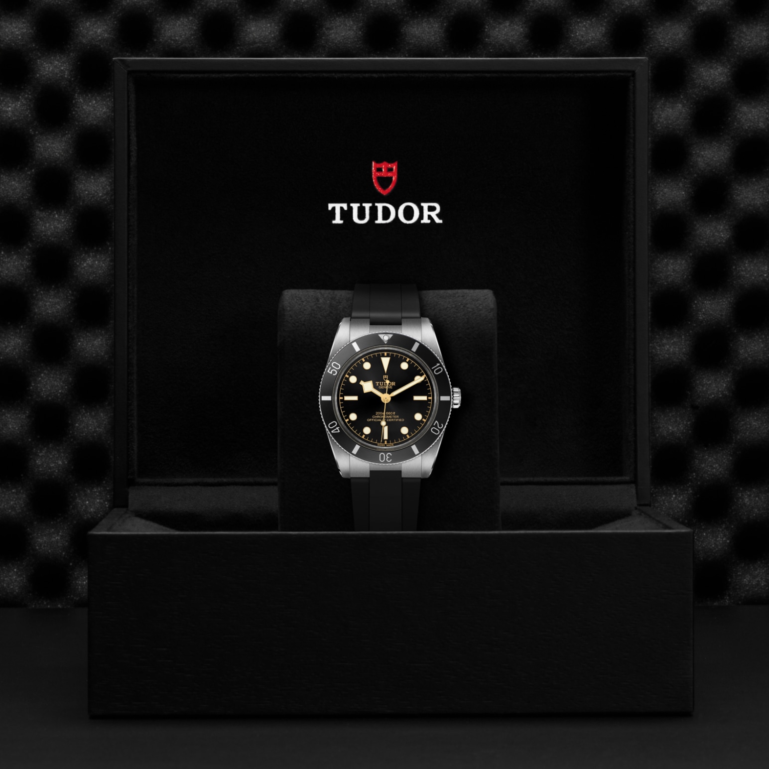 Tudor BLACK BAY 54M79000N-0002 - Verga 1947