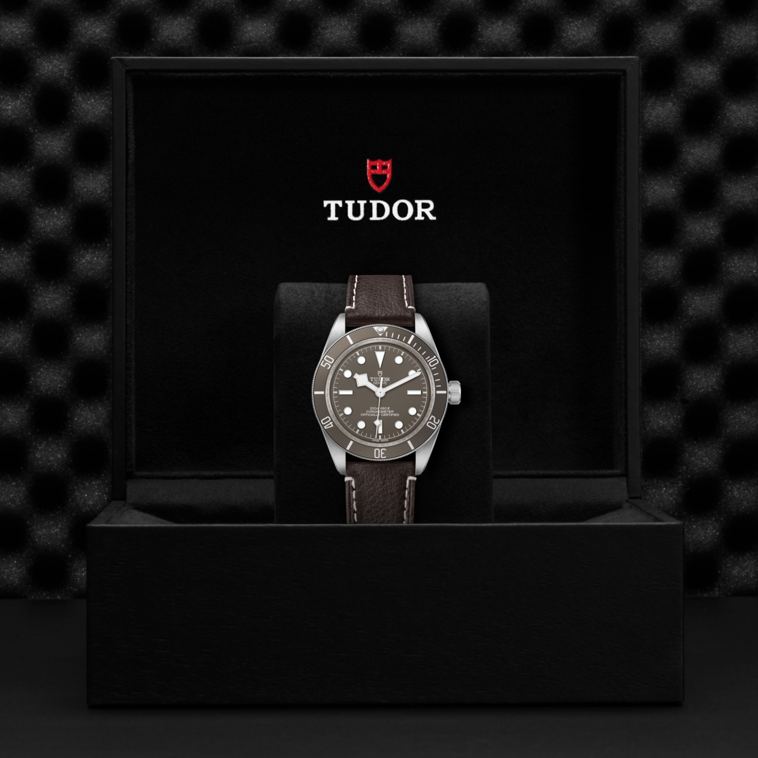 Tudor BLACK BAY 58 925M79010SG-0001 - Verga 1947