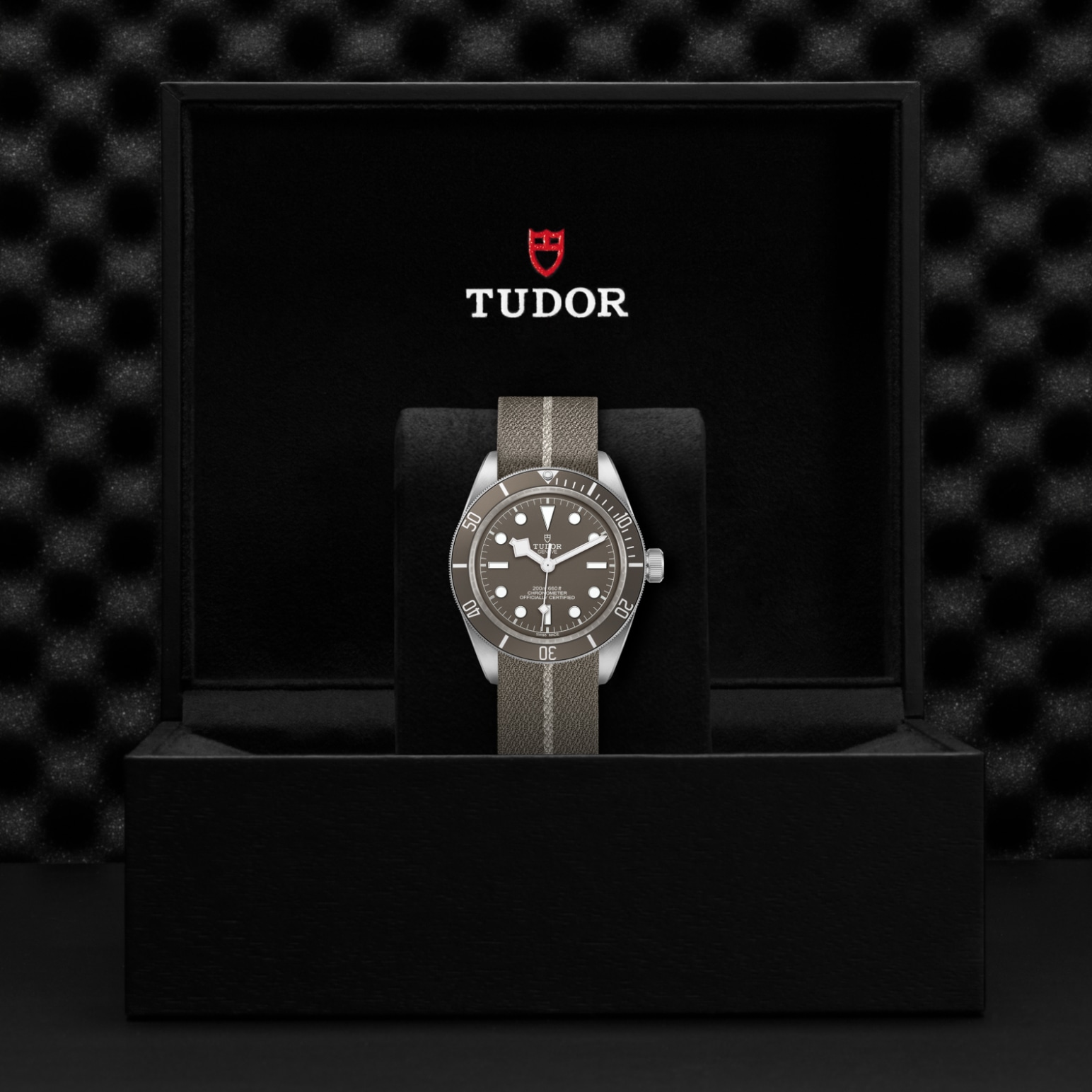 Tudor BLACK BAY 58 925M79010SG-0002 - Verga 1947