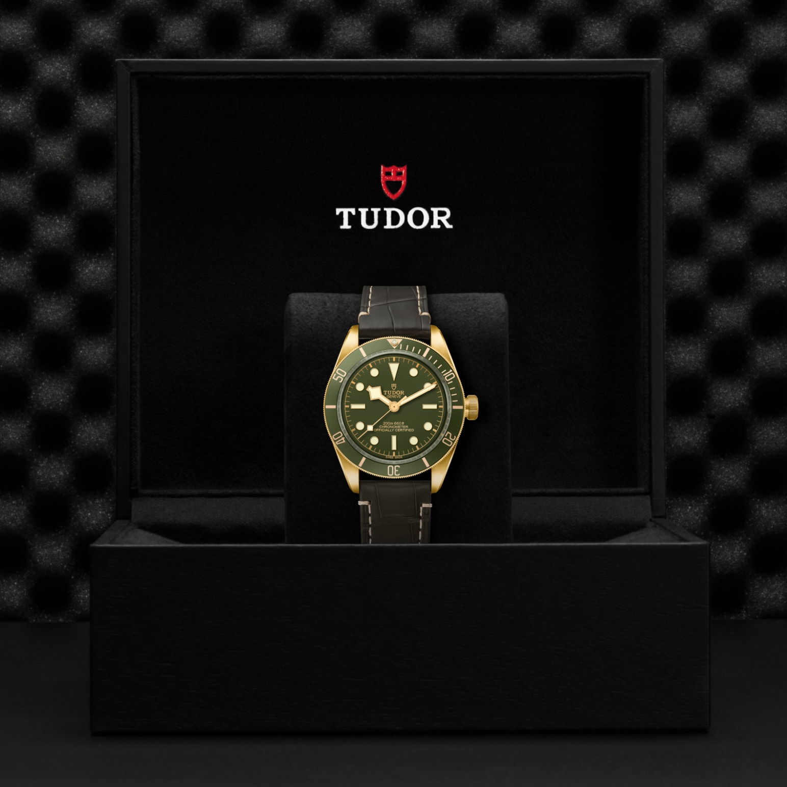 Tudor BLACK BAY 58 18KM79018V-0001 - Verga 1947