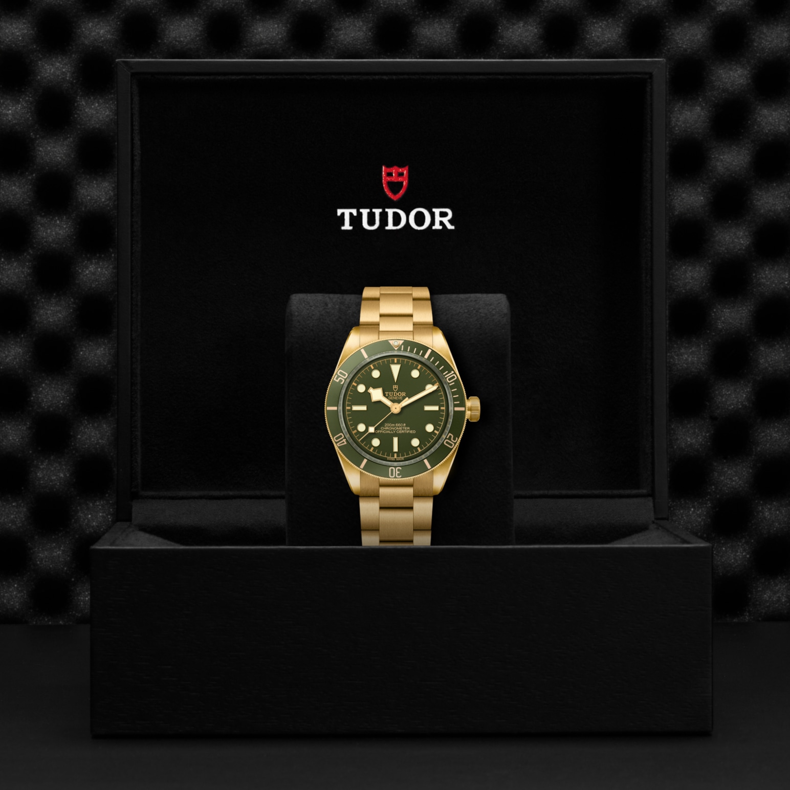 Tudor BLACK BAY 58 18KM79018V-0006 - Verga 1947