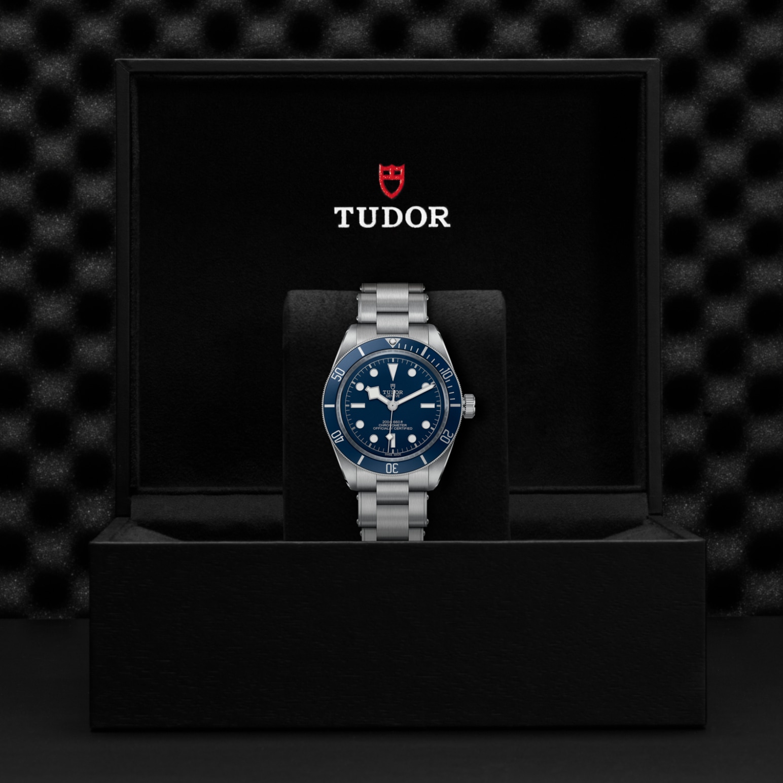 Tudor BLACK BAY 58M79030B-0001 - Verga 1947