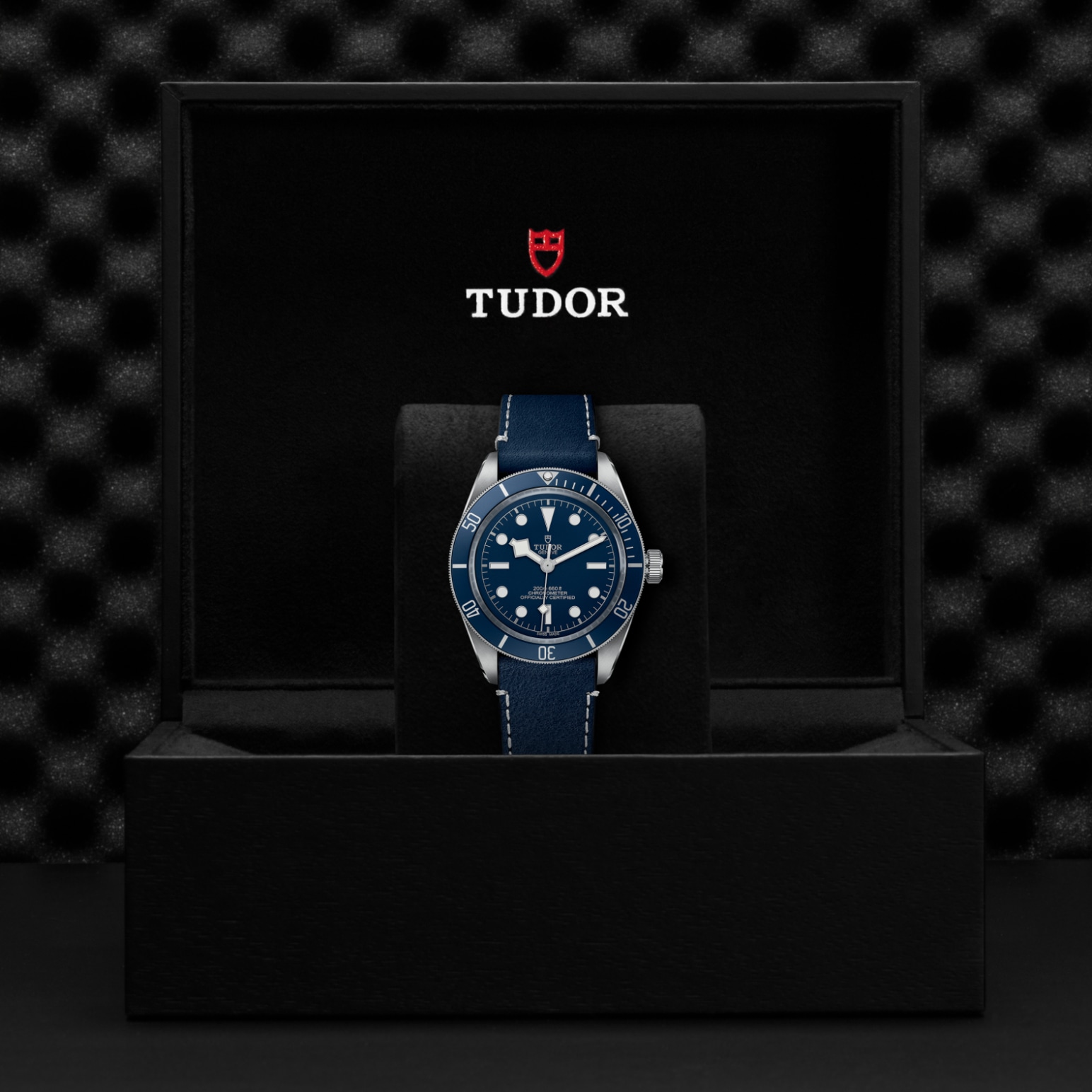 Tudor BLACK BAY 58M79030B-0002 - Verga 1947