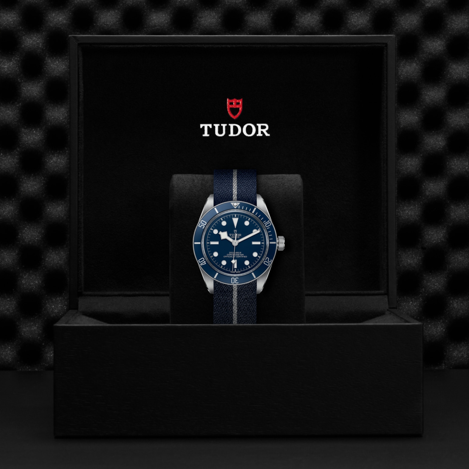 Tudor BLACK BAY 58M79030B-0003 - Verga 1947