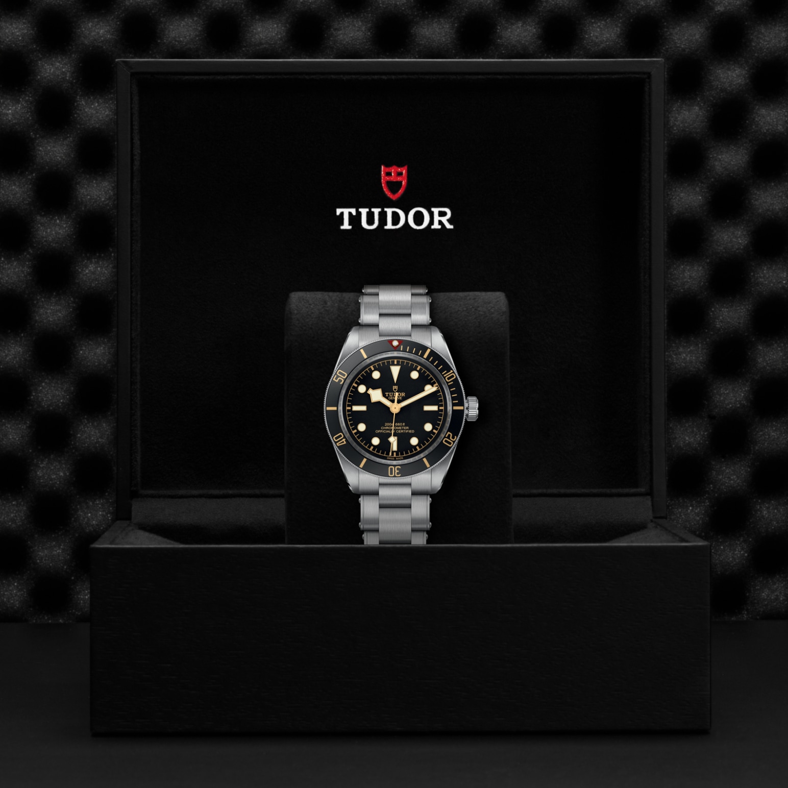 Tudor BLACK BAY 58M79030N-0001 - Verga 1947