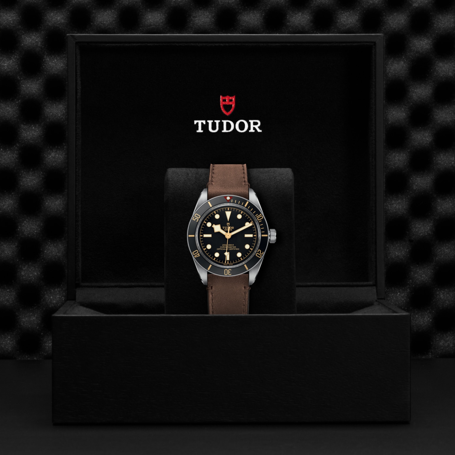 Tudor BLACK BAY 58M79030N-0002 - Verga 1947