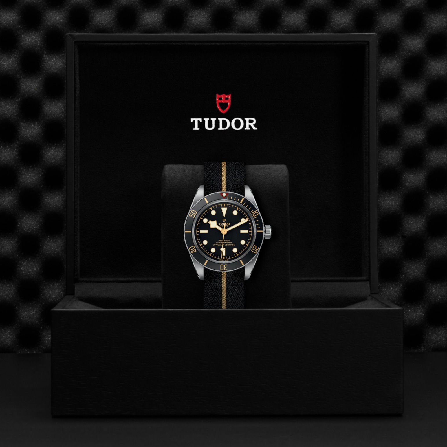 Tudor BLACK BAY 58M79030N-0003 - Verga 1947