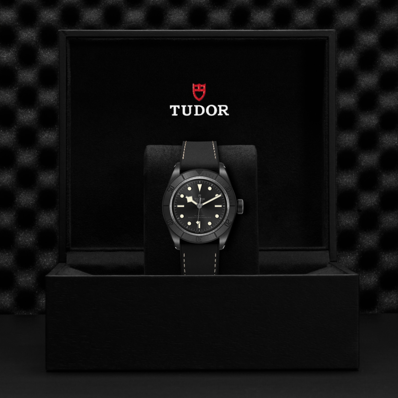 Tudor BLACK BAY CERAMICM79210CNU-0001 - Verga 1947