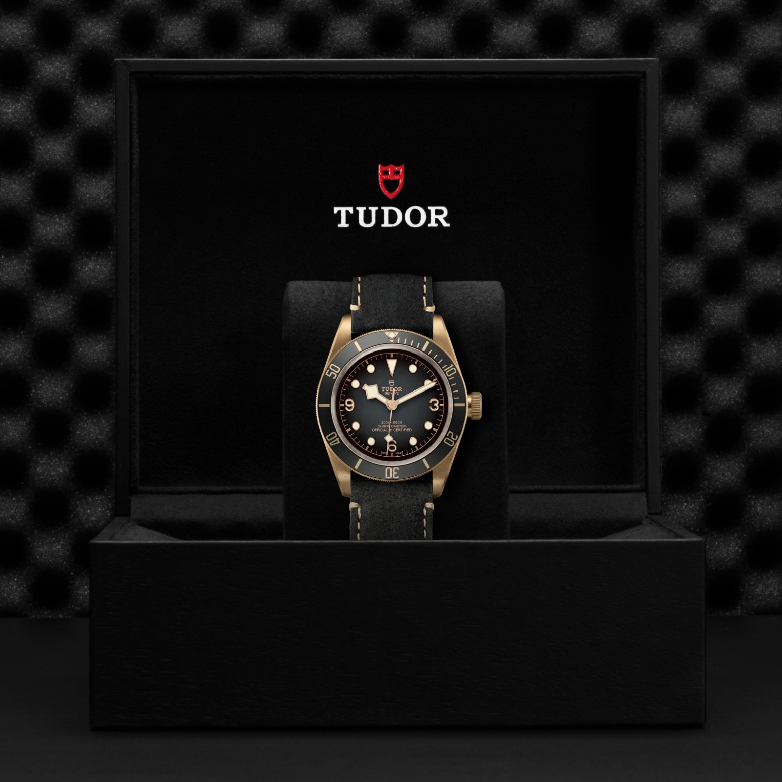Tudor BLACK BAY BRONZEM79250BA-0001 - Verga 1947