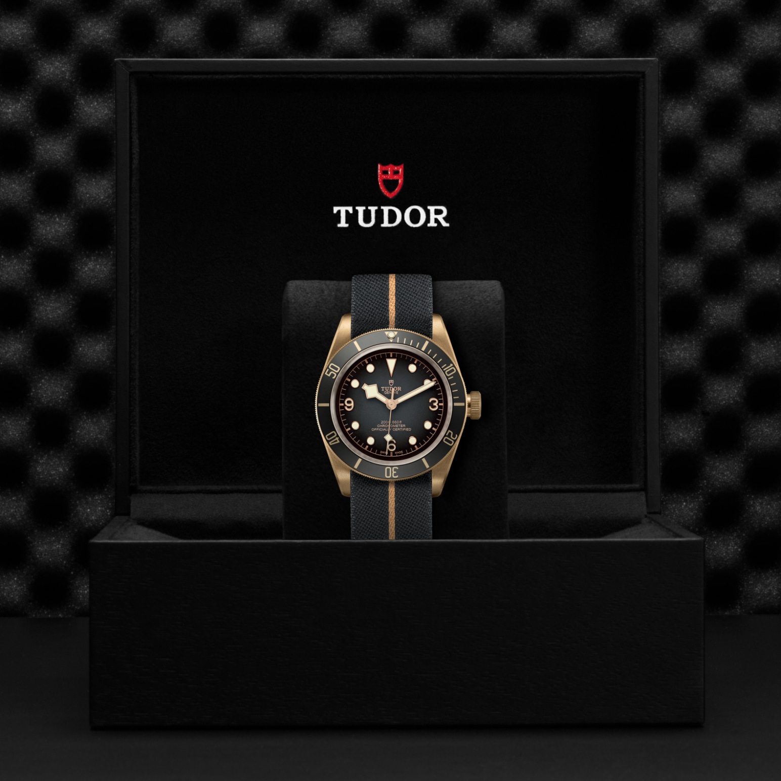 Tudor BLACK BAY BRONZEM79250BA-0002 - Verga 1947