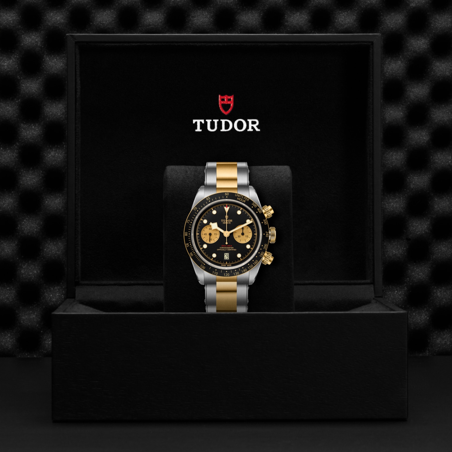 Tudor BLACK BAY CHRONO S&GM79363N-0001 - Verga 1947