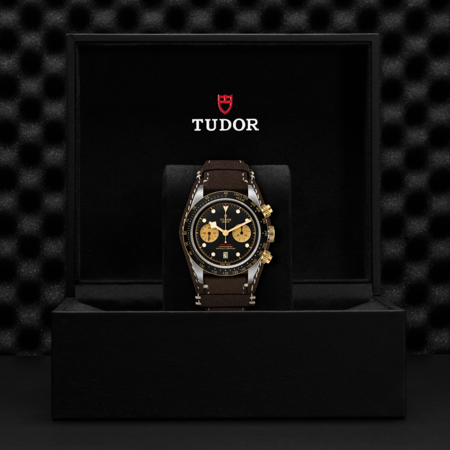 Tudor BLACK BAY CHRONO S&GM79363N-0002 - Verga 1947